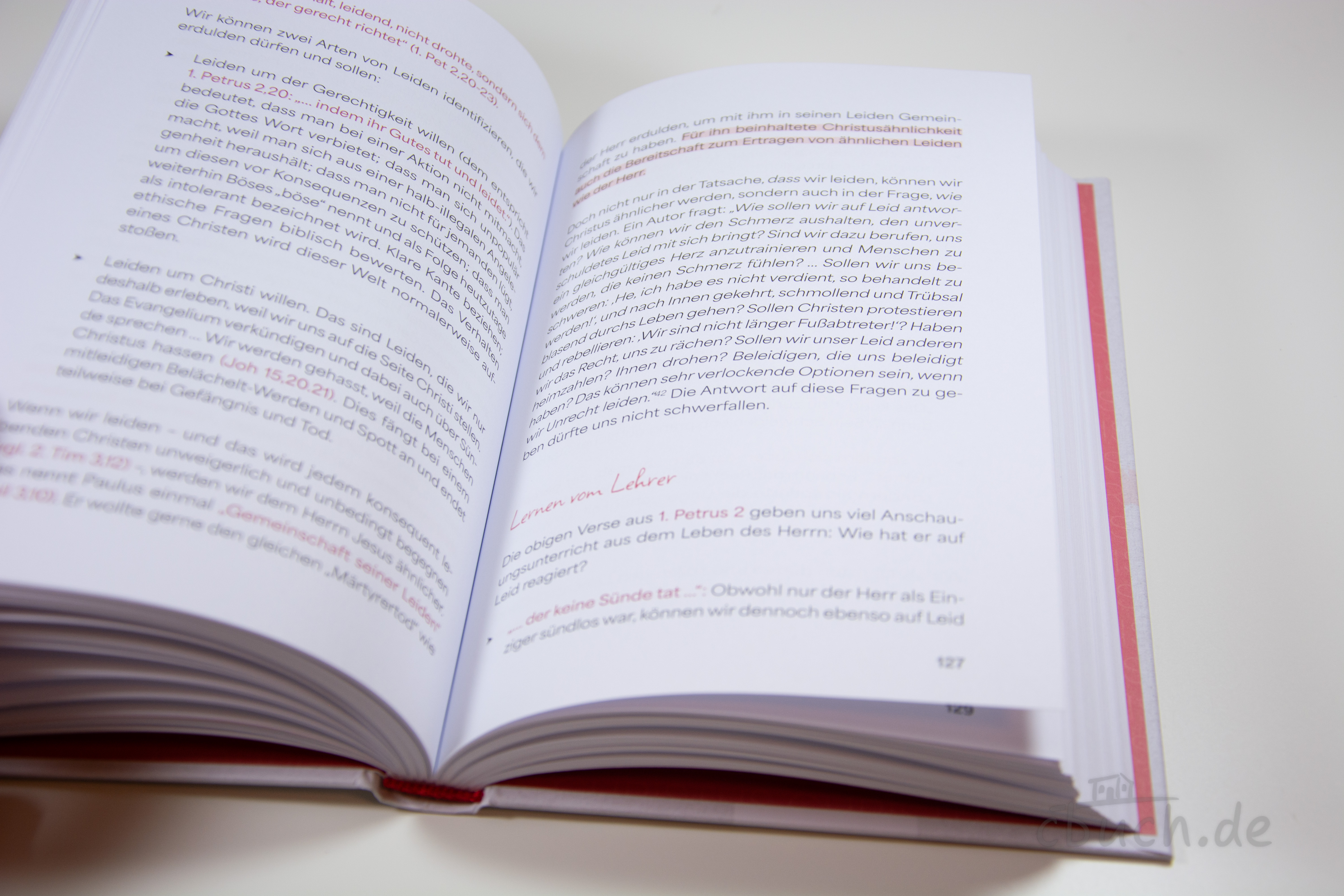 Aufgeschlagenes Buch „Christus ähnlich werden“ von Alexander Schneider, Verlag CSV – christliches Buch über Nachfolge, Heiligung und Christus ähnlicher werden