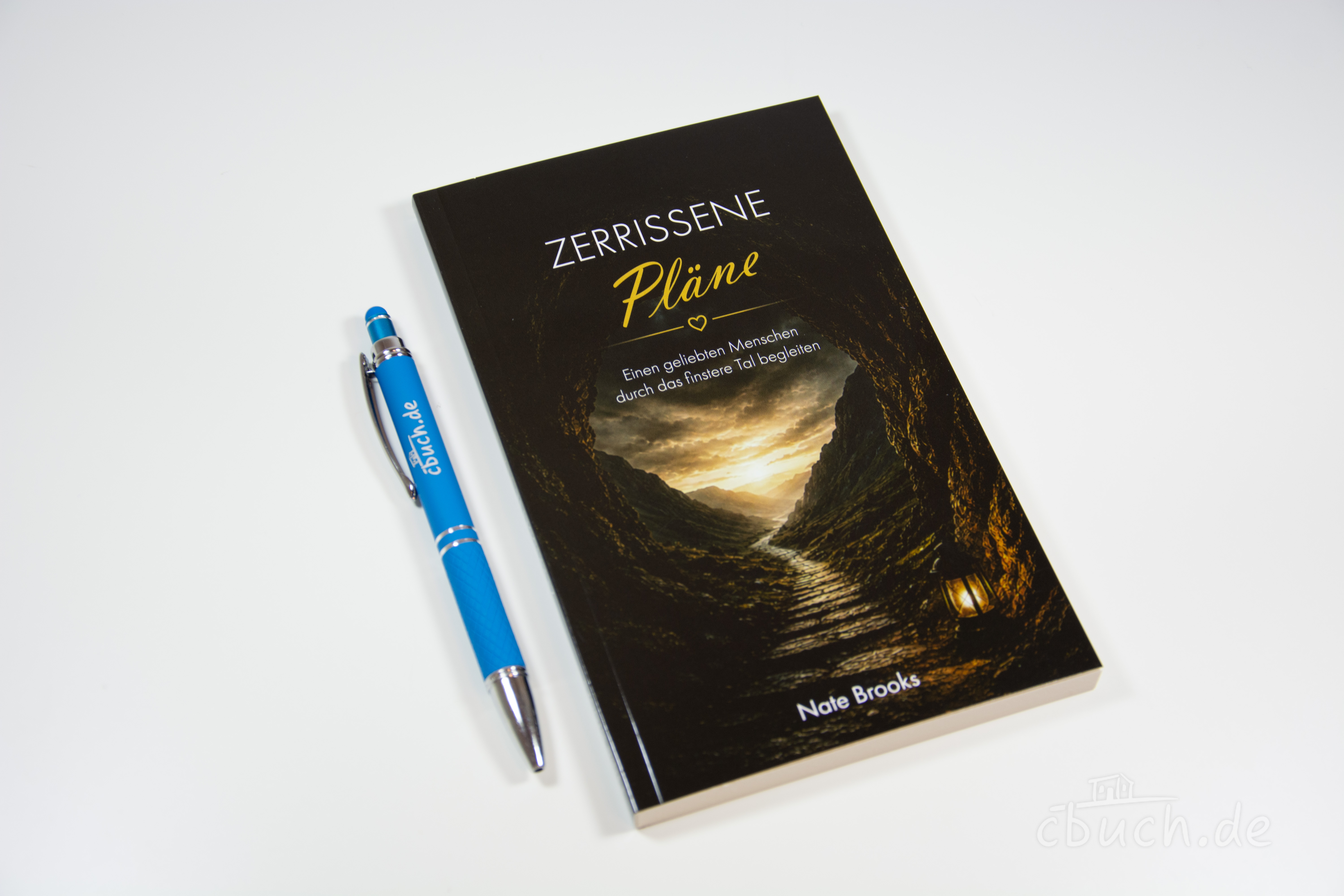 Nate Brooks: Zerrissene Pläne