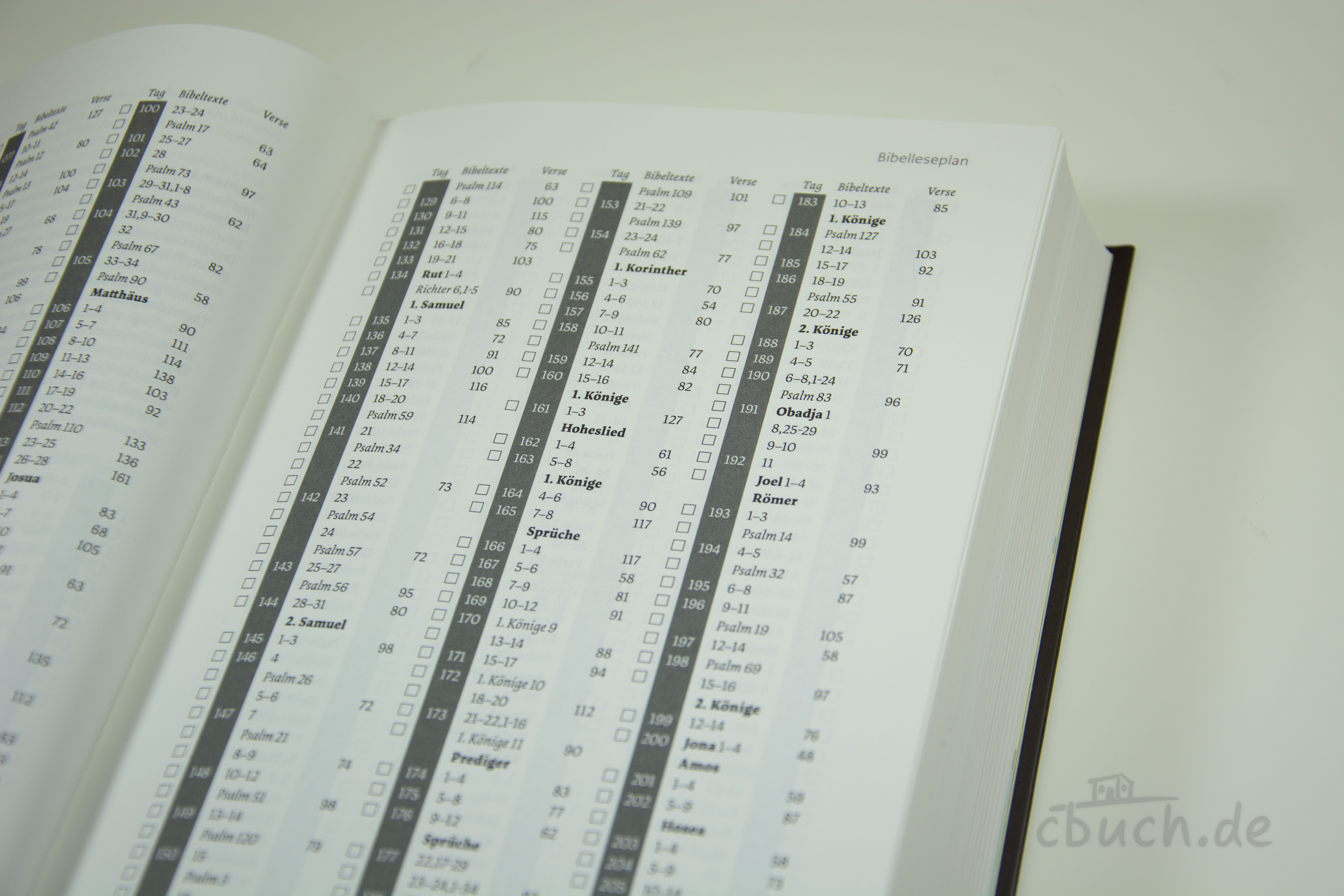 NeÜ bibel. heute Standardausgabe "Berg" – Bibelleseplan und Inhaltsseiten Geöffnete NeÜ bibel. heute Standardausgabe "Berg" von CV mit Bibelleseplan auf den Innenseiten, zeitgemäße Bibelübersetzung mit Erklärungen und 16 Farbkarten.