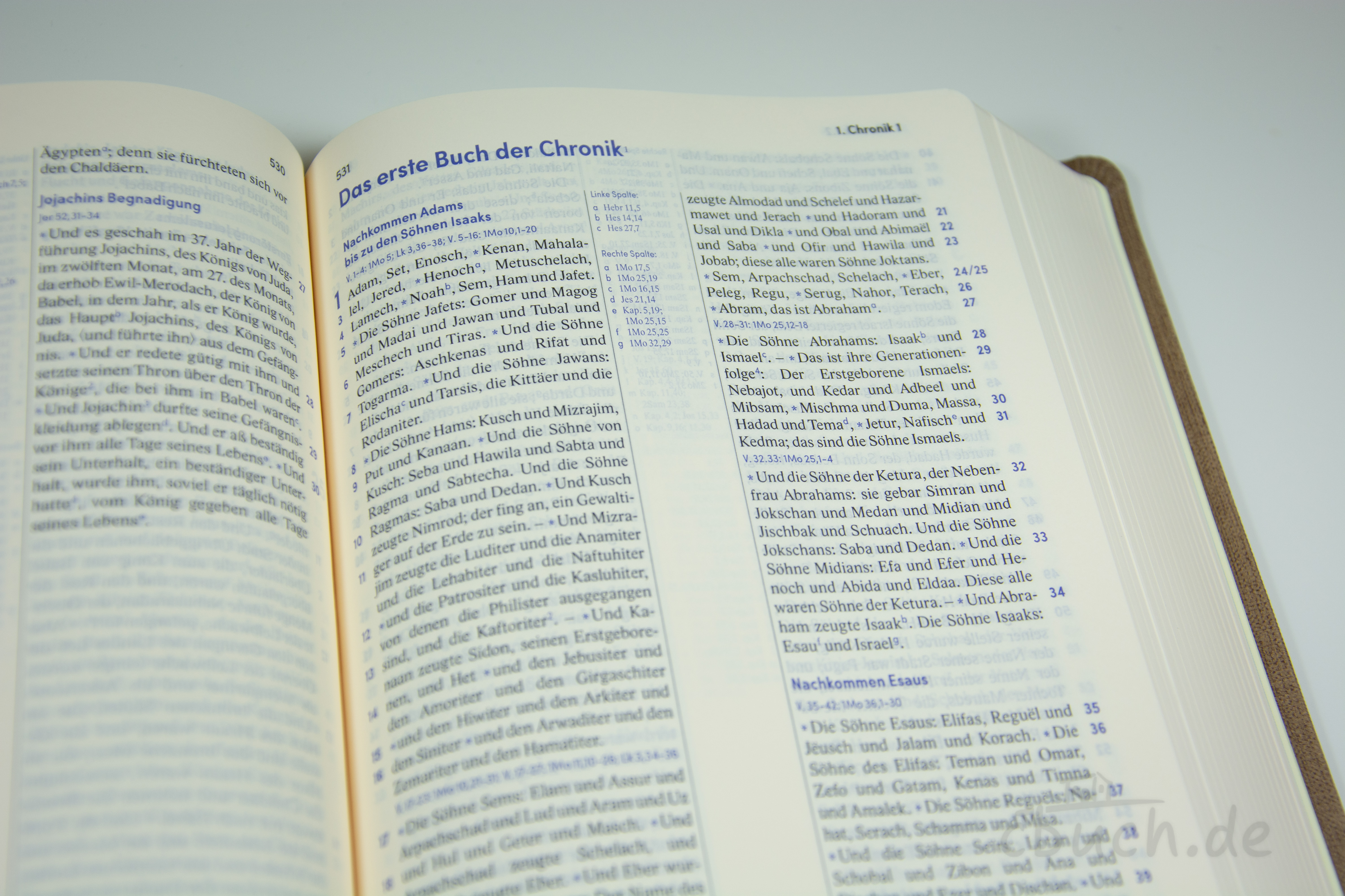 Revidierte Elberfelder Bibel Standardausgabe, Kunstleder braun Geöffnete Revidierte Elberfelder Bibel Standardausgabe in braunem Kunstleder von CV, mit zweifarbigem Schriftbild, Parallelstellen und farbigem Kartenmaterial.