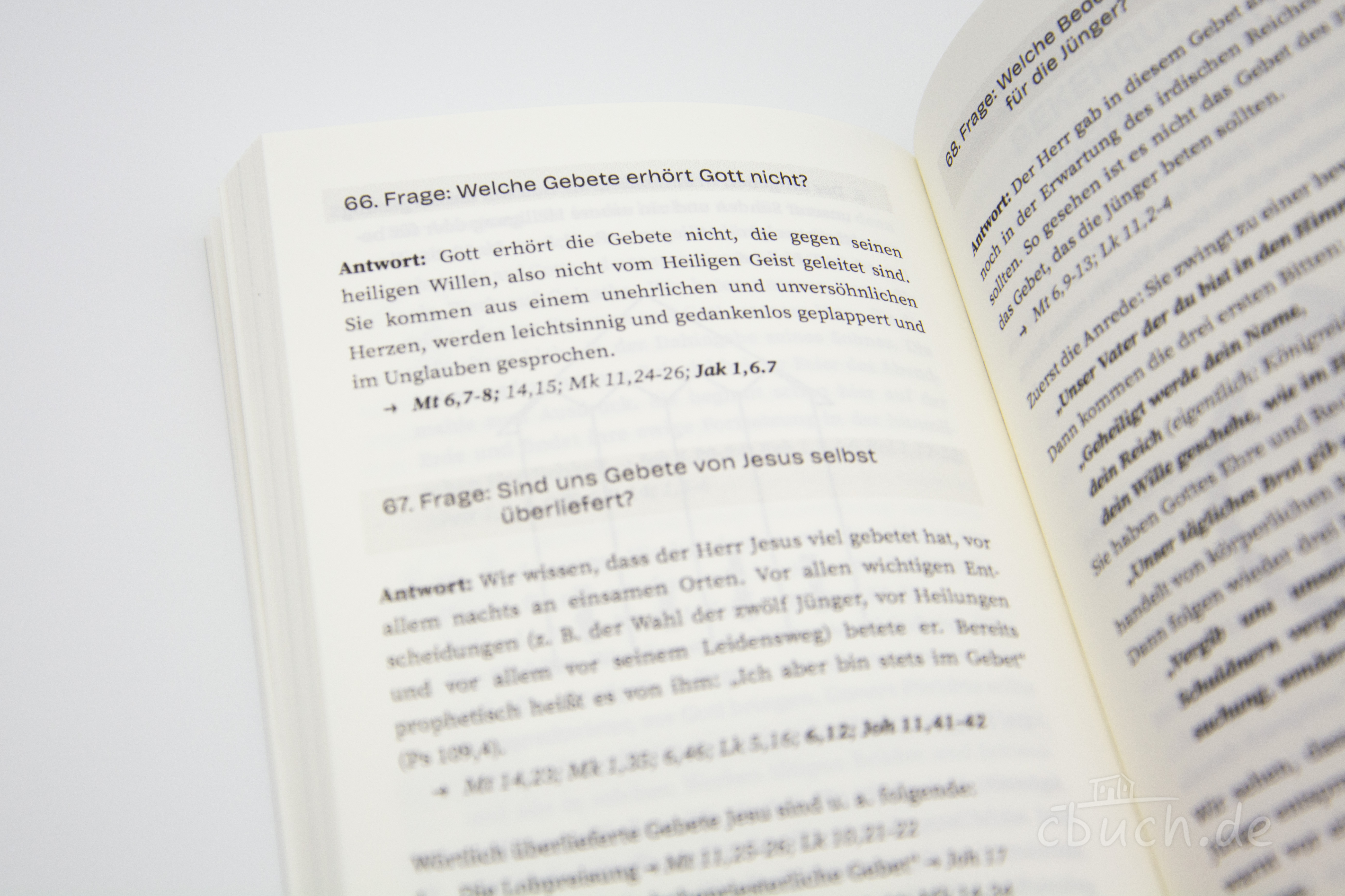 Jaeger/Pletsch: Biblische Lehre kompakt