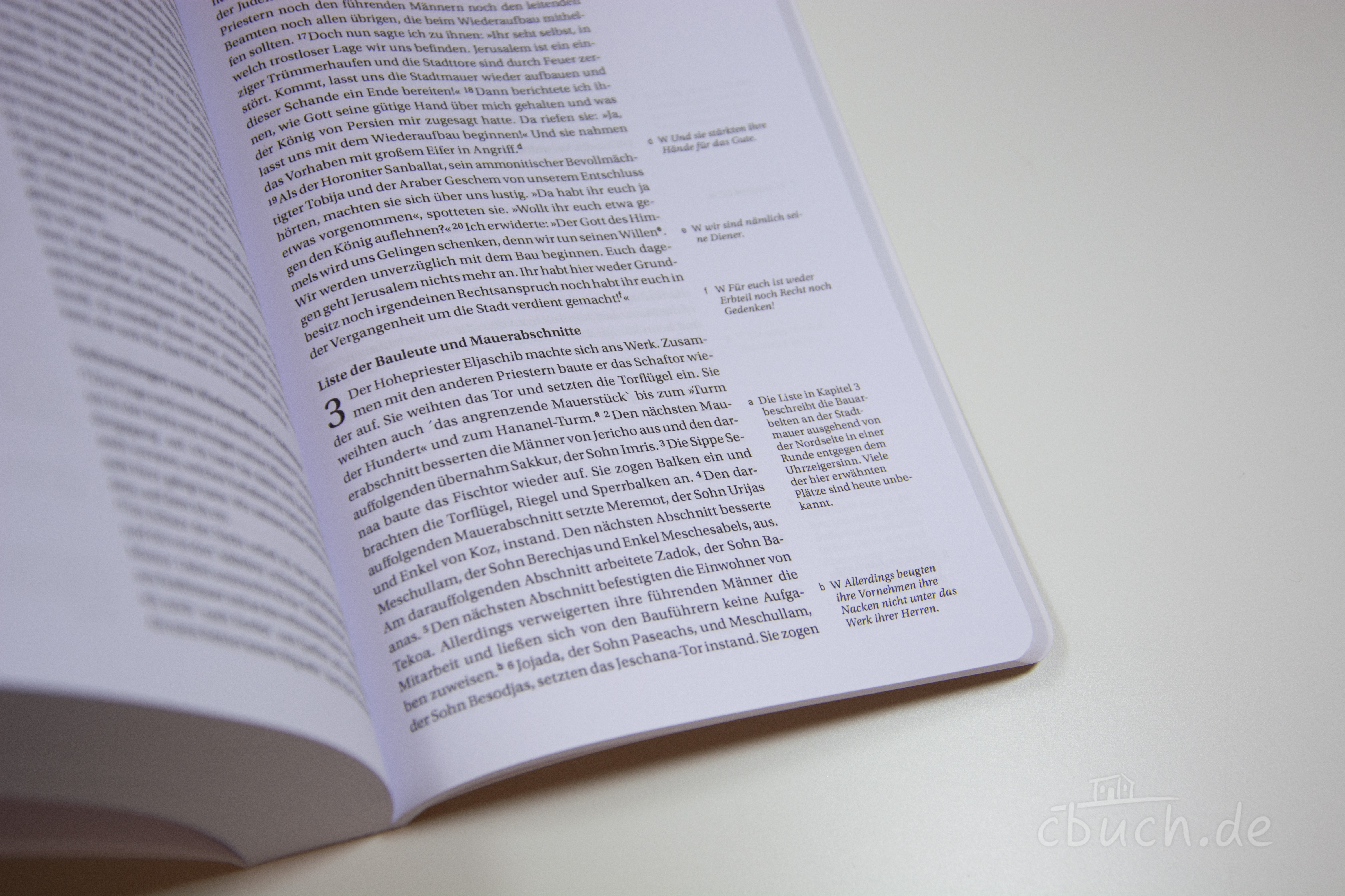 NGÜ AT: Die Geschichtsbücher: Josua - Ester