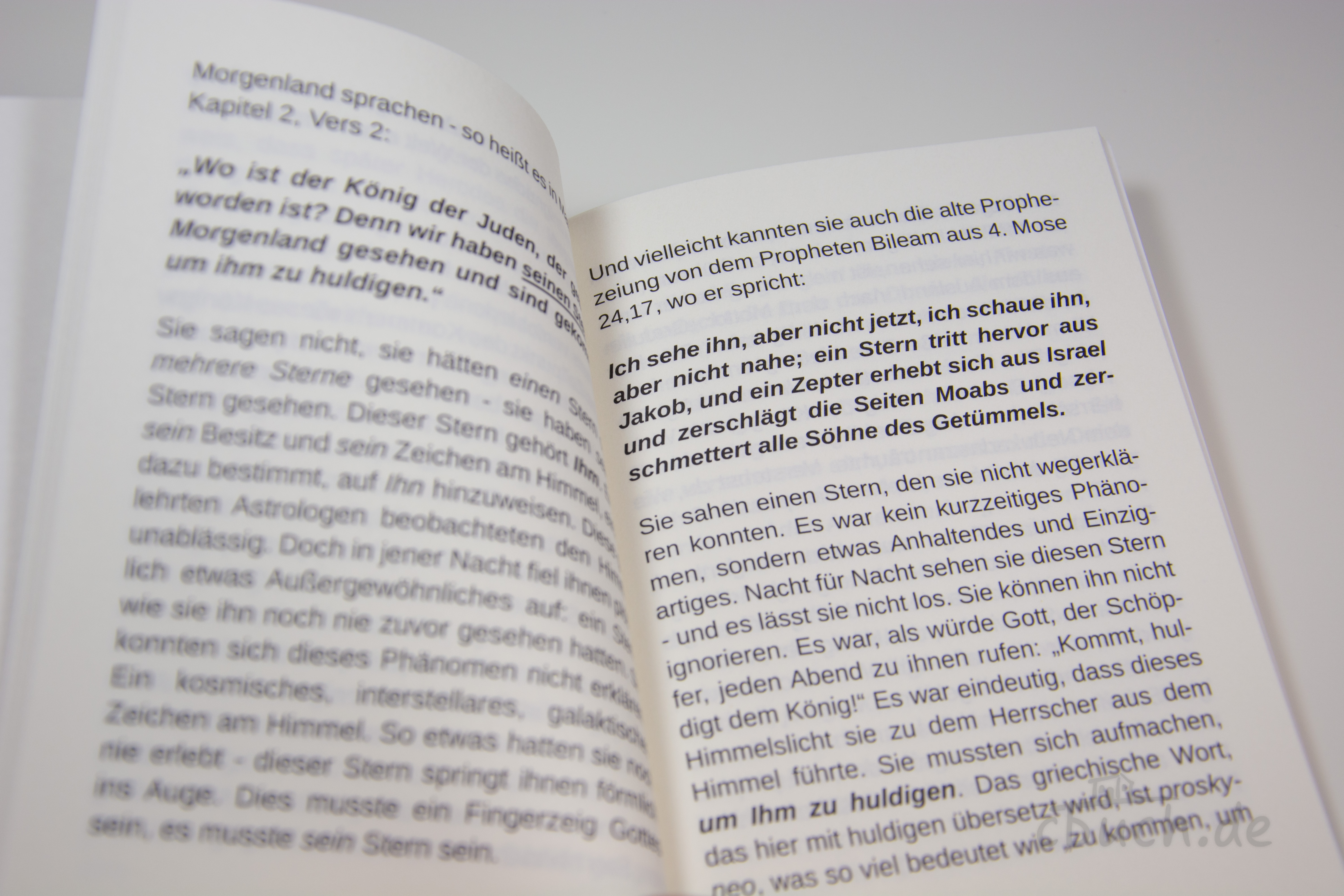 Aufgeschlagenes Buch „Die wahre Bedeutung der Heiligen drei Könige“ von Peter Schild, erschienen im Lichtzeichen Verlag, mit Text über die Weisen aus dem Morgenland und ihre biblische Bedeutung.