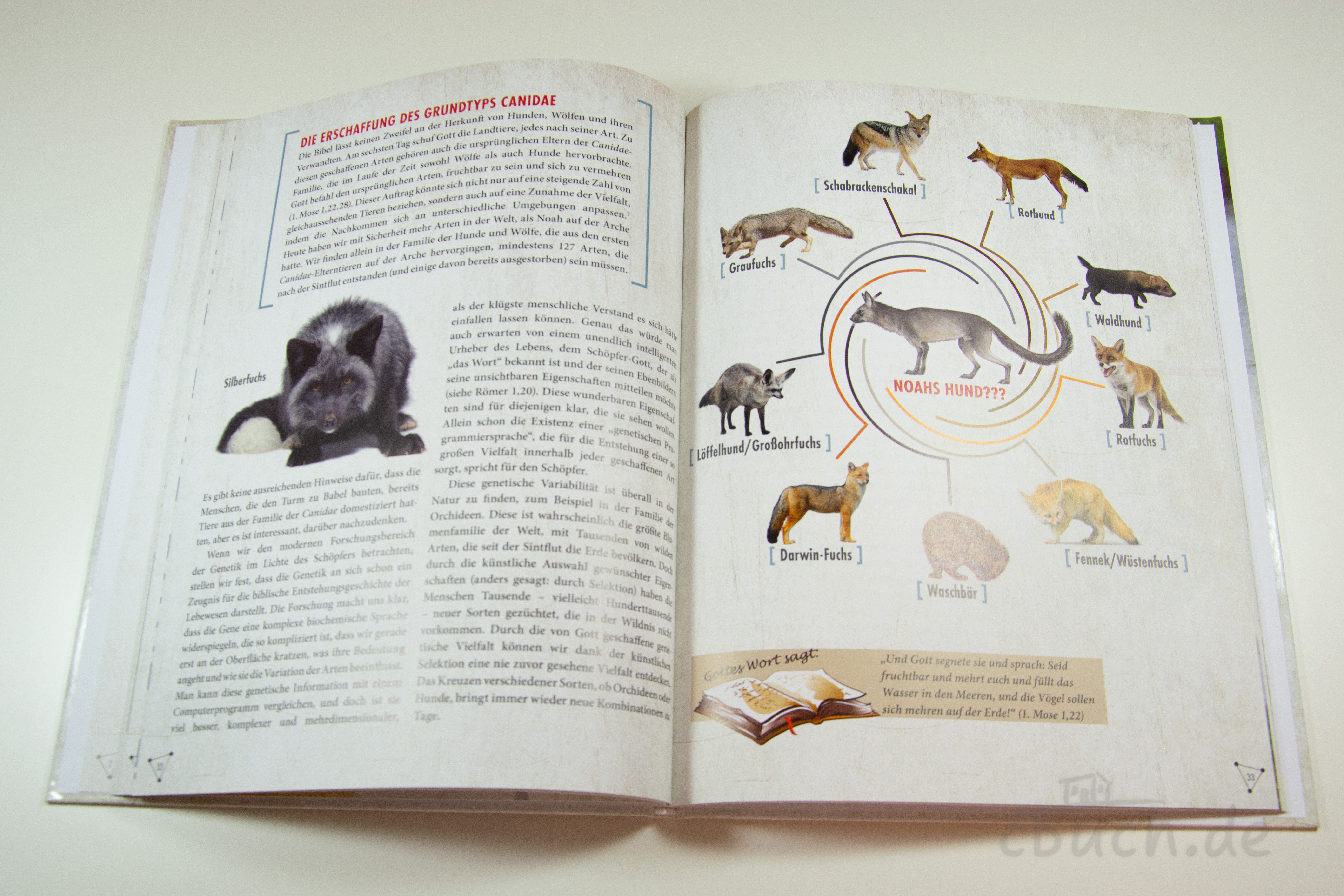 Offene Buchseite zeigt Informationen zur Familie der Hunde und deren Evolution, inkl. Bilder von verschiedenen Canidae-Arten wie Silberfuchs und Schabrackenschakal.