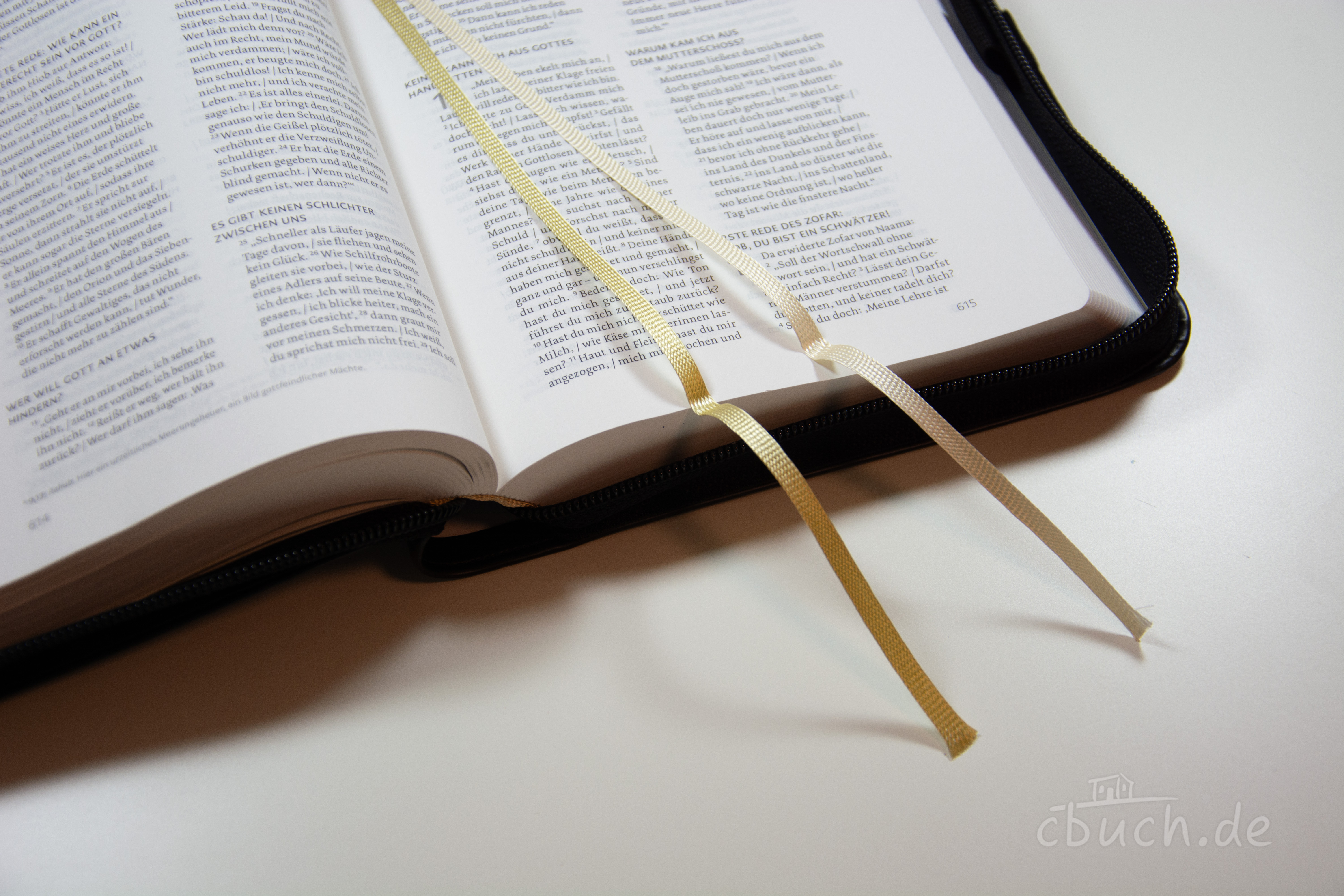 Life Lion Bibel NeÜ bibel.heute - schwarz Life Lion Bibel NeÜ bibel.heute - schwarz