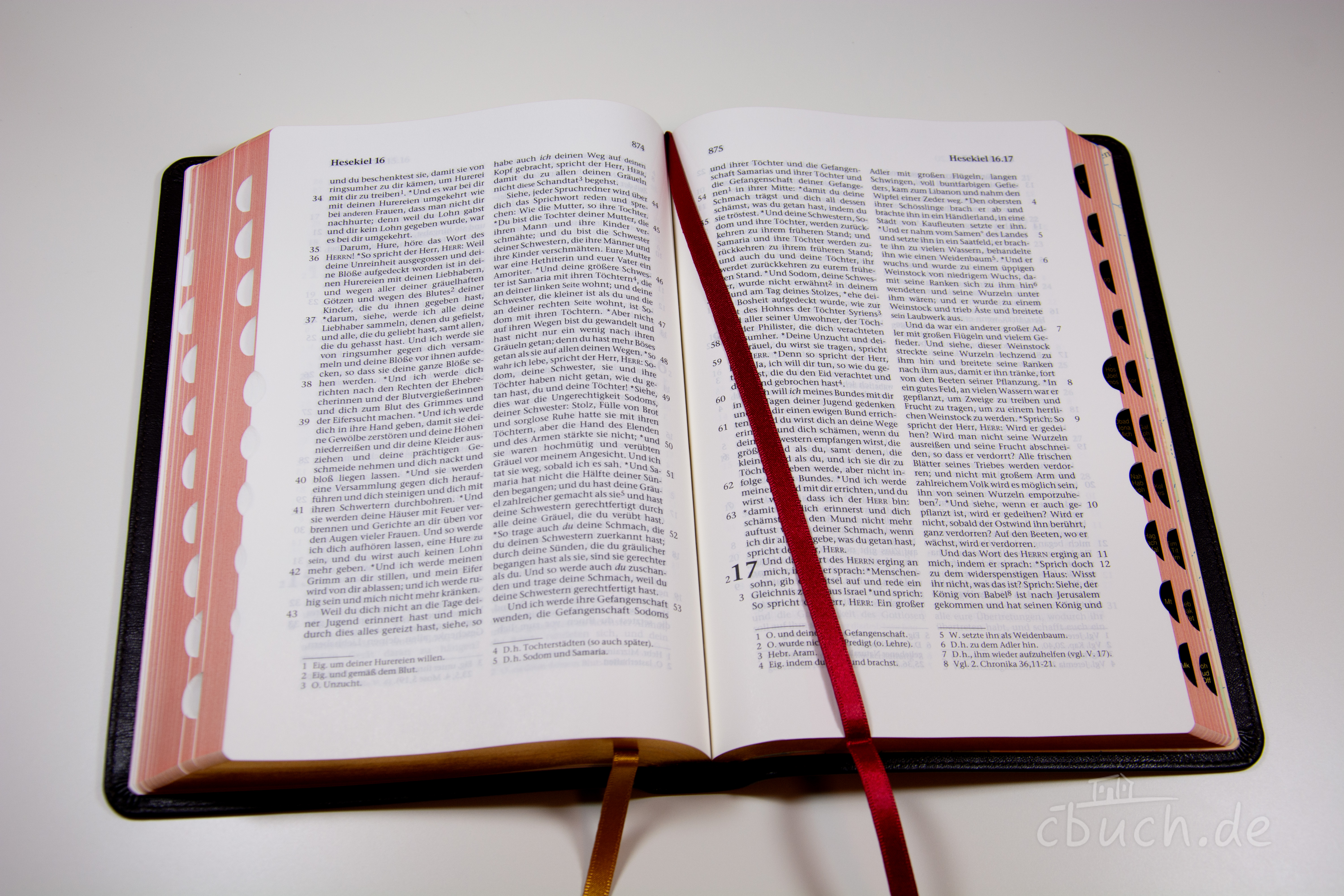 Elberfelder Bibel Edition CSV - Standardbibel, Rindleder, dunkelbraun, Rotgoldschnitt mit Griffregister