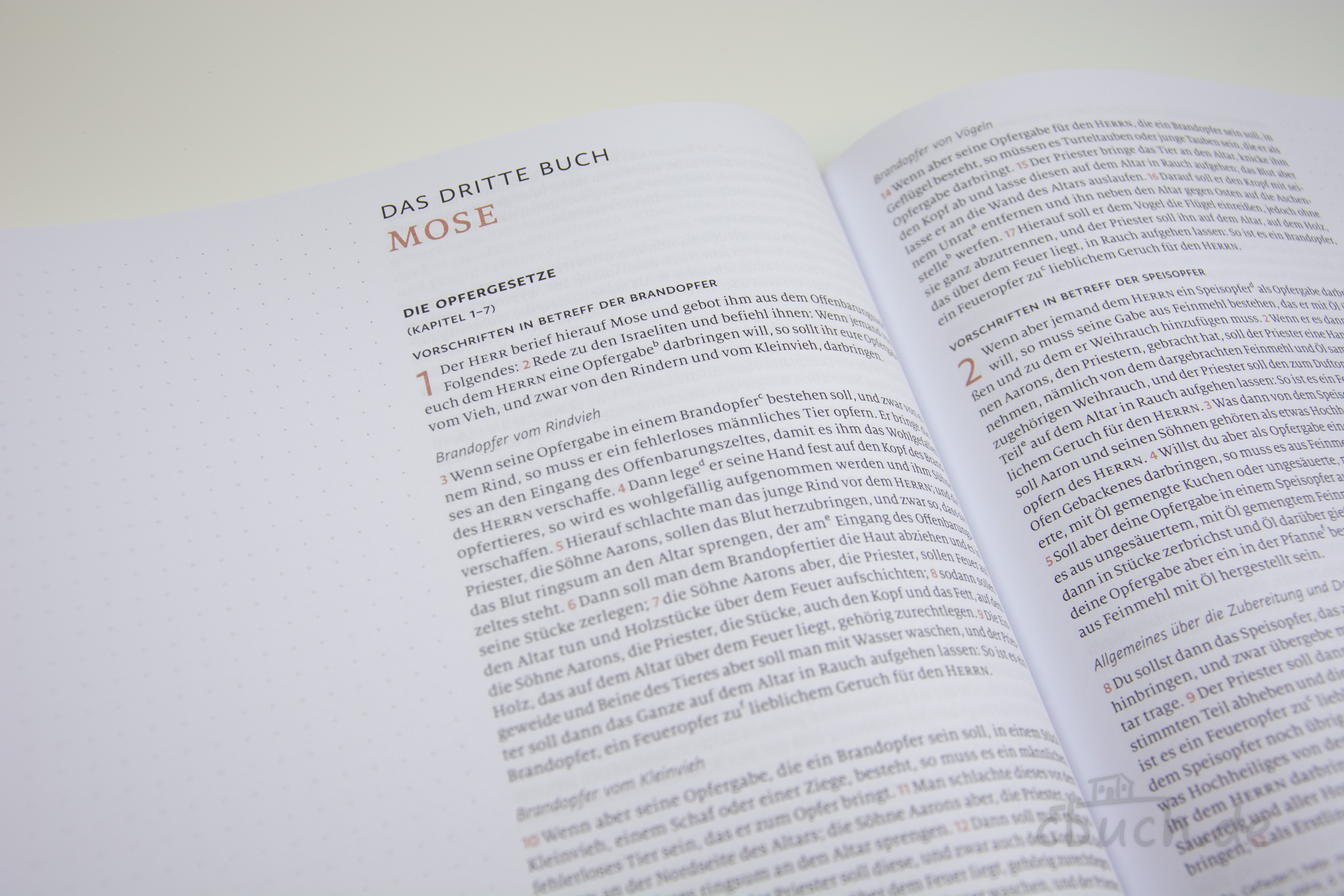 Geöffnete Menge 2020 Bibel AT – Mose bis Samuel – Journaling Edition von CLV mit extra dickem Papier und breitem Rand für Notizen und Textmarker