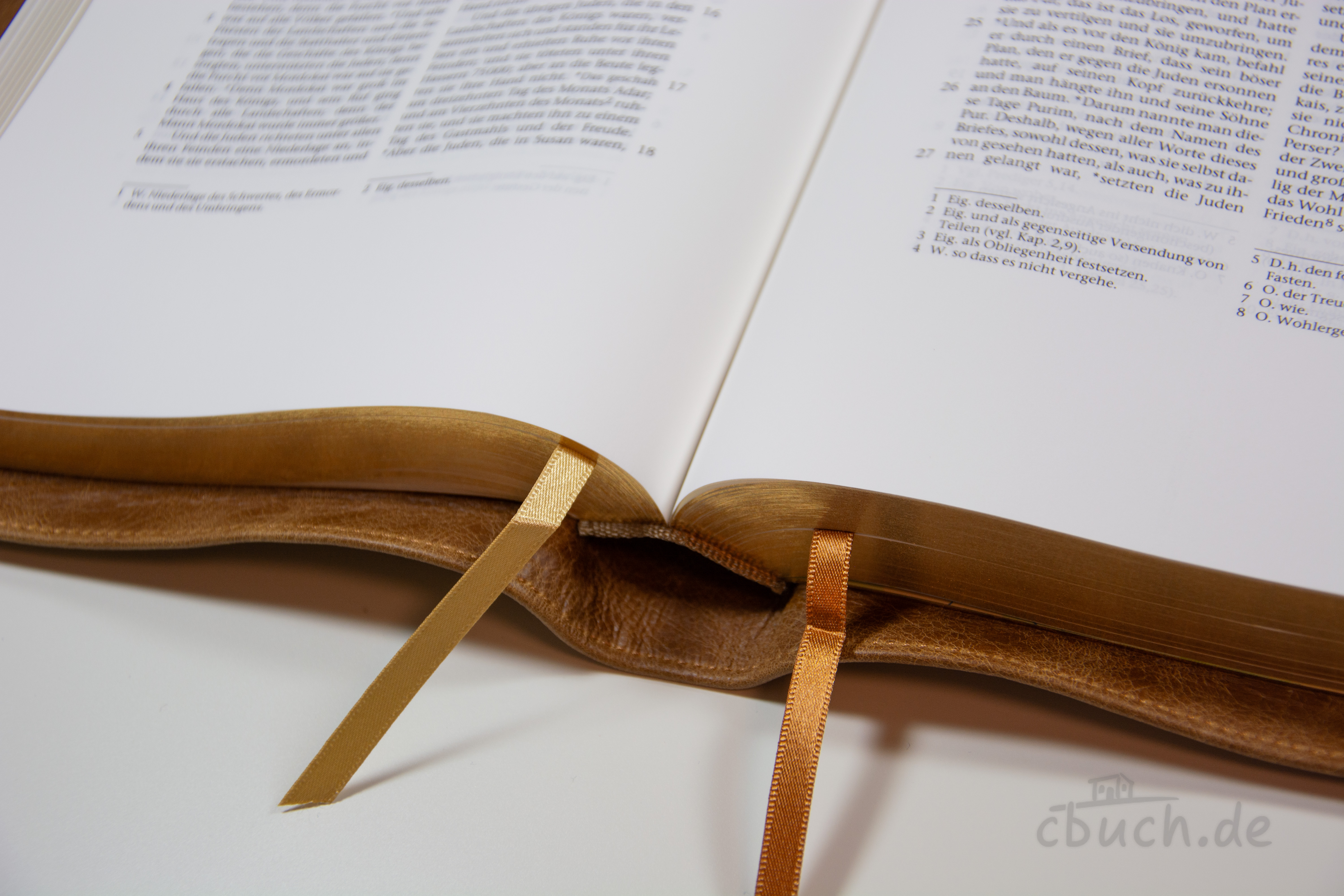 Elberfelder Bibel Edition CSV - Schreibrandbibel, größere Ausgabe, Leder, Toffee, Goldschnitt