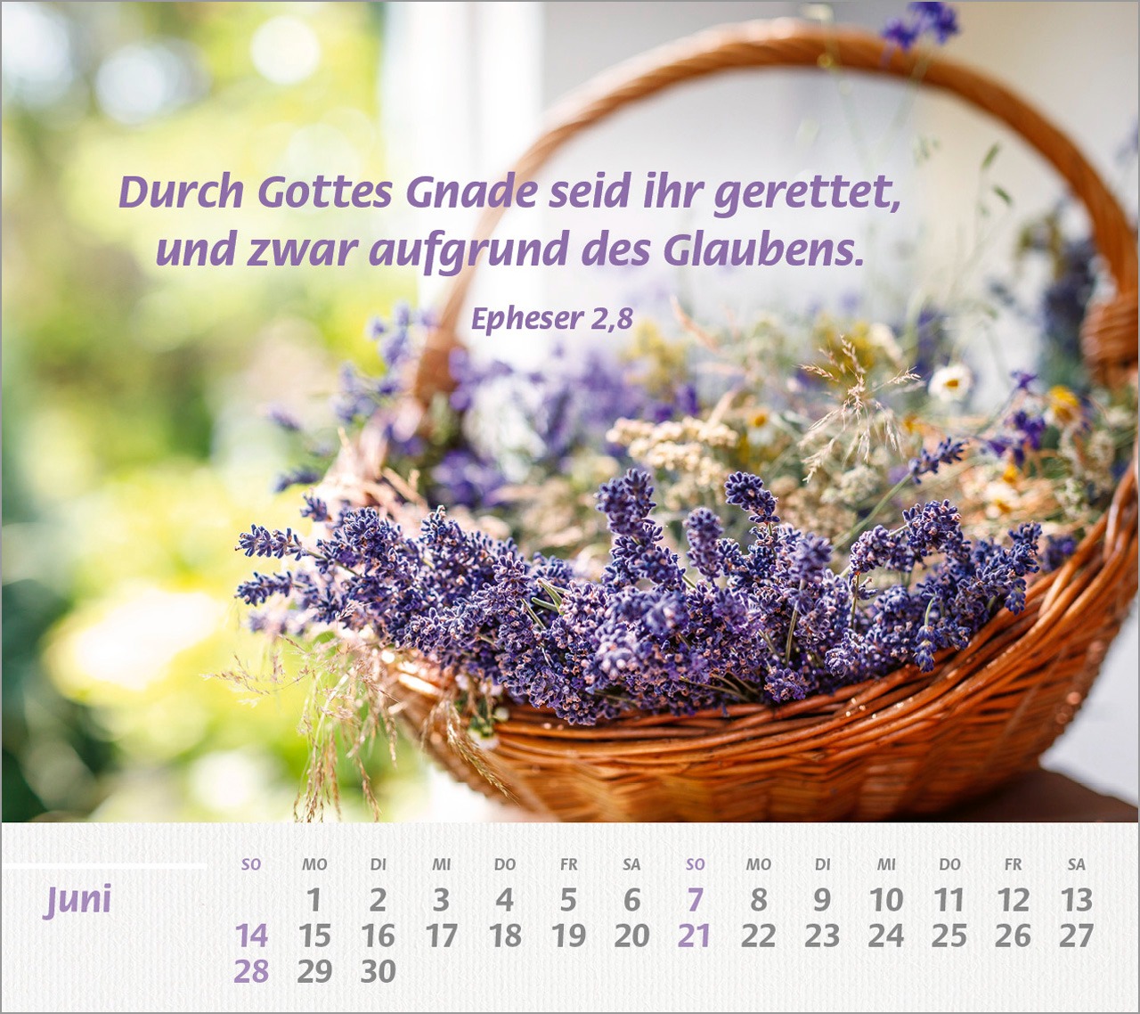 Kalenderblatt Juni mit Lavendel und Bibelvers Epheser 2,8 Korb mit Lavendelblüten und Bibelzitat auf Kalenderblatt Jun