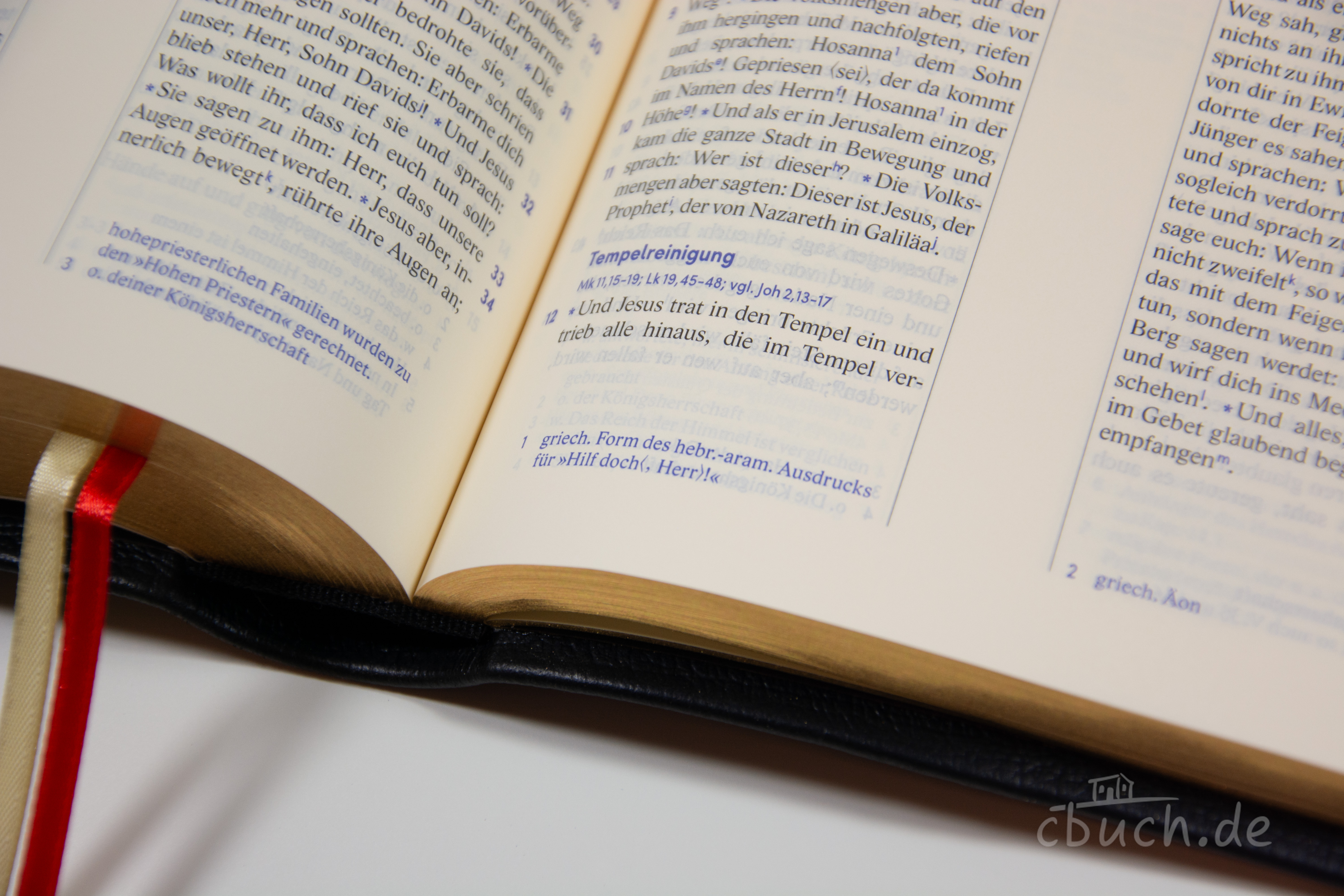Revidierte Elberfelder Bibel - Standardausgabe, Leder-Goldschnitt