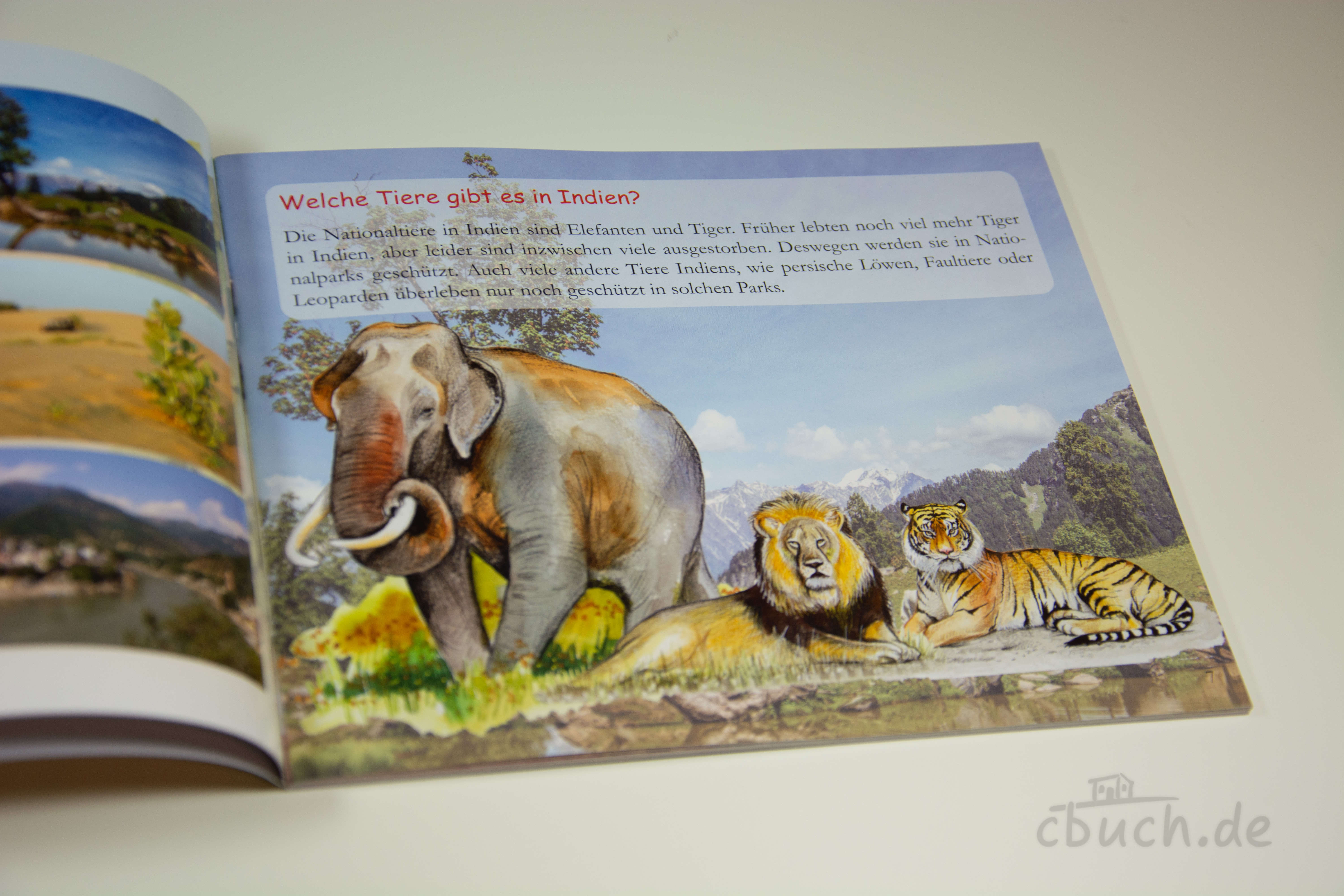 Innenseite aus „Die richtige Entscheidung - Kinder in Indien (Heft 8)“ von Samenkorn mit farbigen Bildern zu Indien: Elefant, Löwe und Tiger in einer kindgerechten Missionsgeschichte.