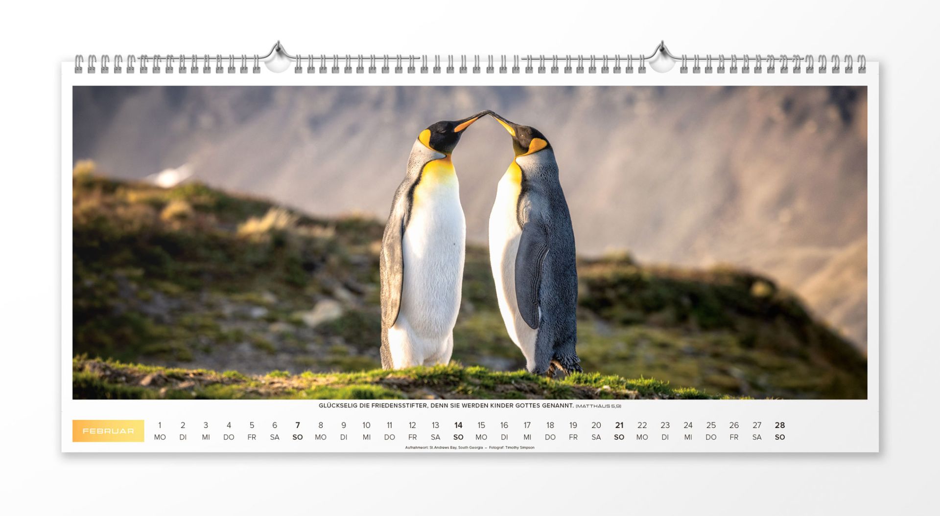 Life is more 2027 - Wandkalender XL Life is more 2027 - Wandkalender XL