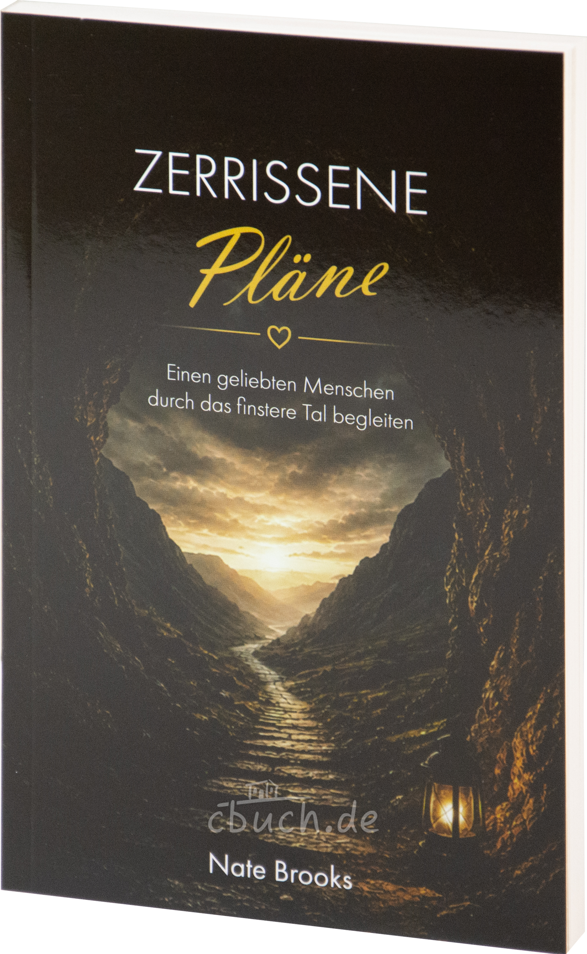 Nate Brooks: Zerrissene Pläne