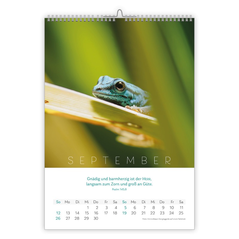 Natur Kalender 2027 - CSV