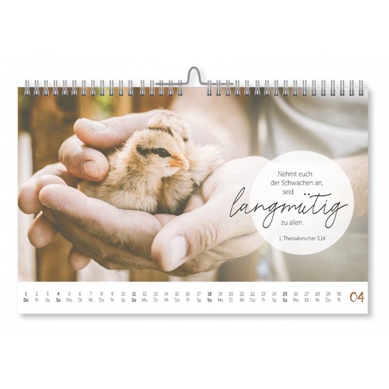 @home 2027 - Aufstellkalender