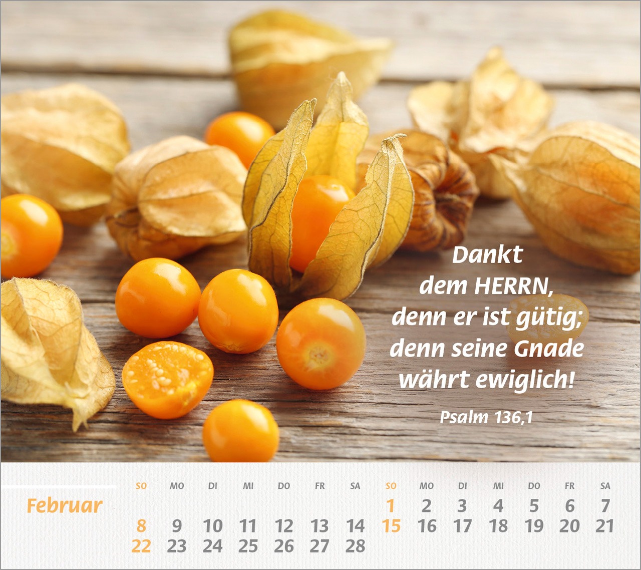 Physalis auf Holzuntergrund mit Bibelvers Psalm 136,1 im Feb