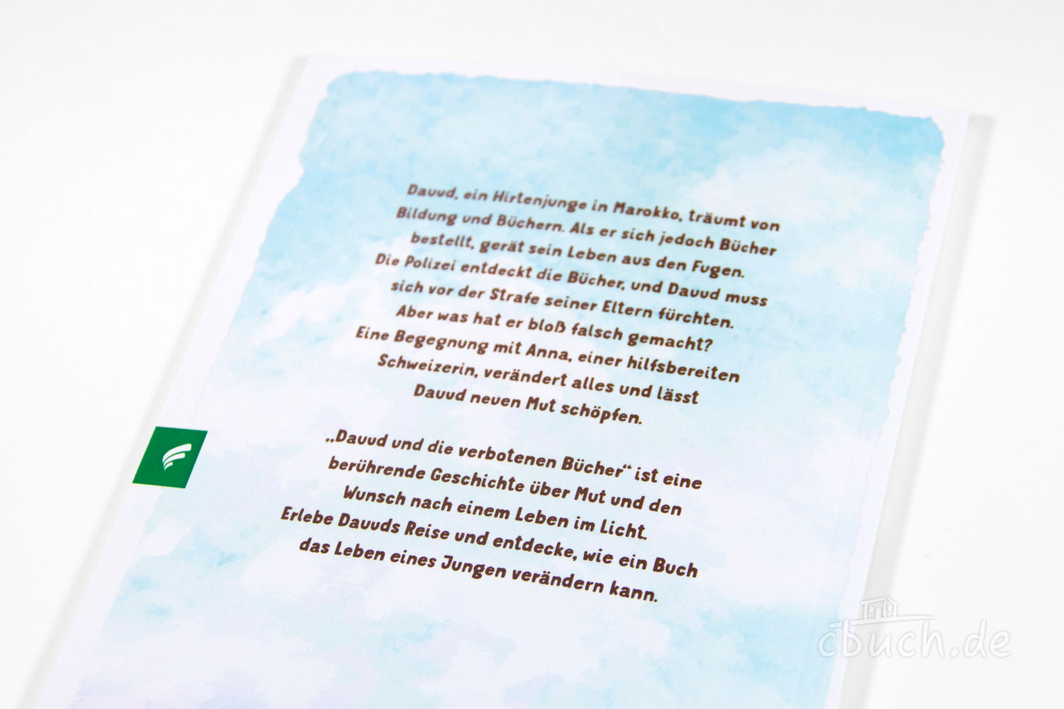 Buchbeschreibung von Davud und die verbotenen Bücher Text auf Rückseite des Buchs Davud und die verbotenen Bücher