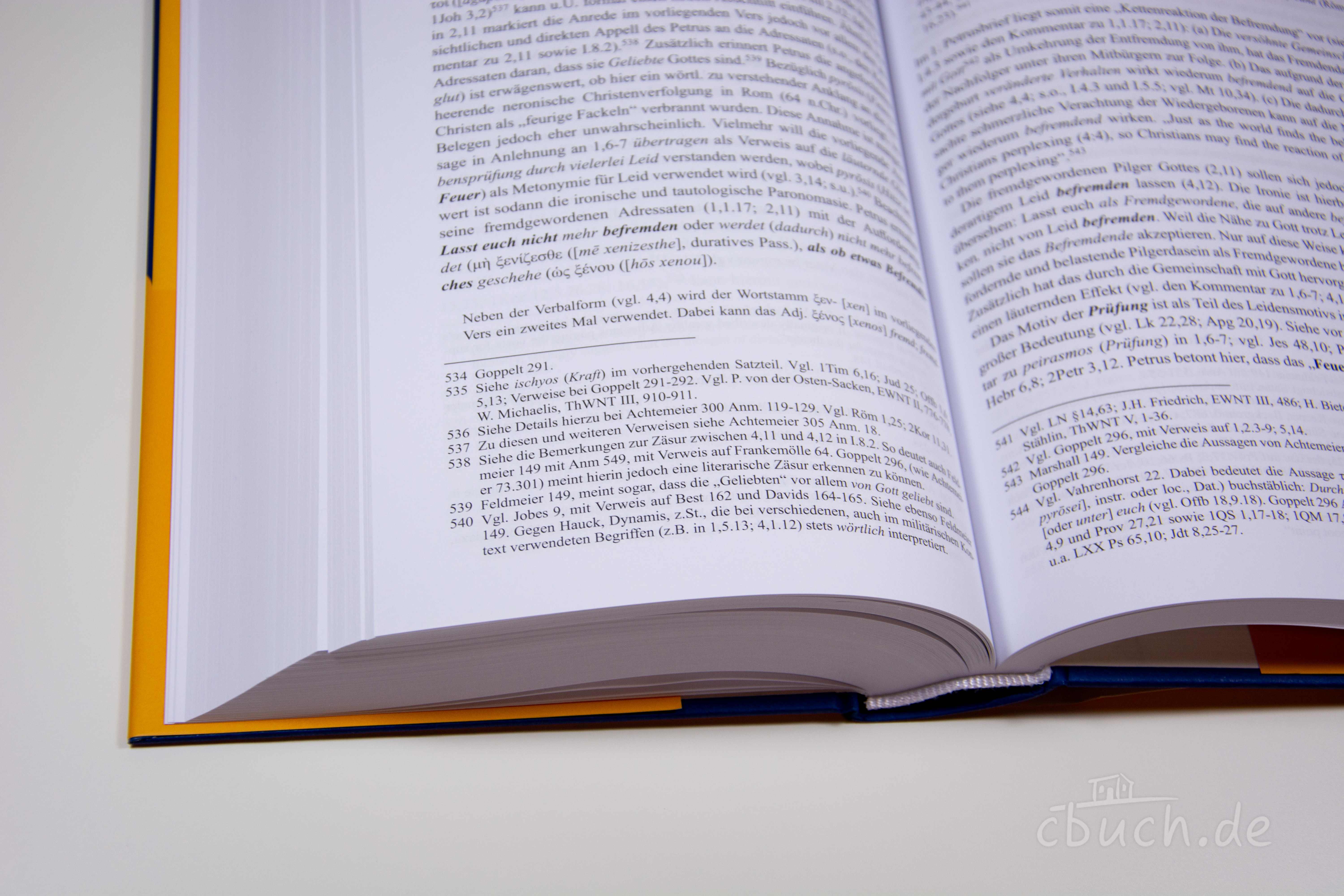 Hans F. Bayer: Der Erste Petrusbrief