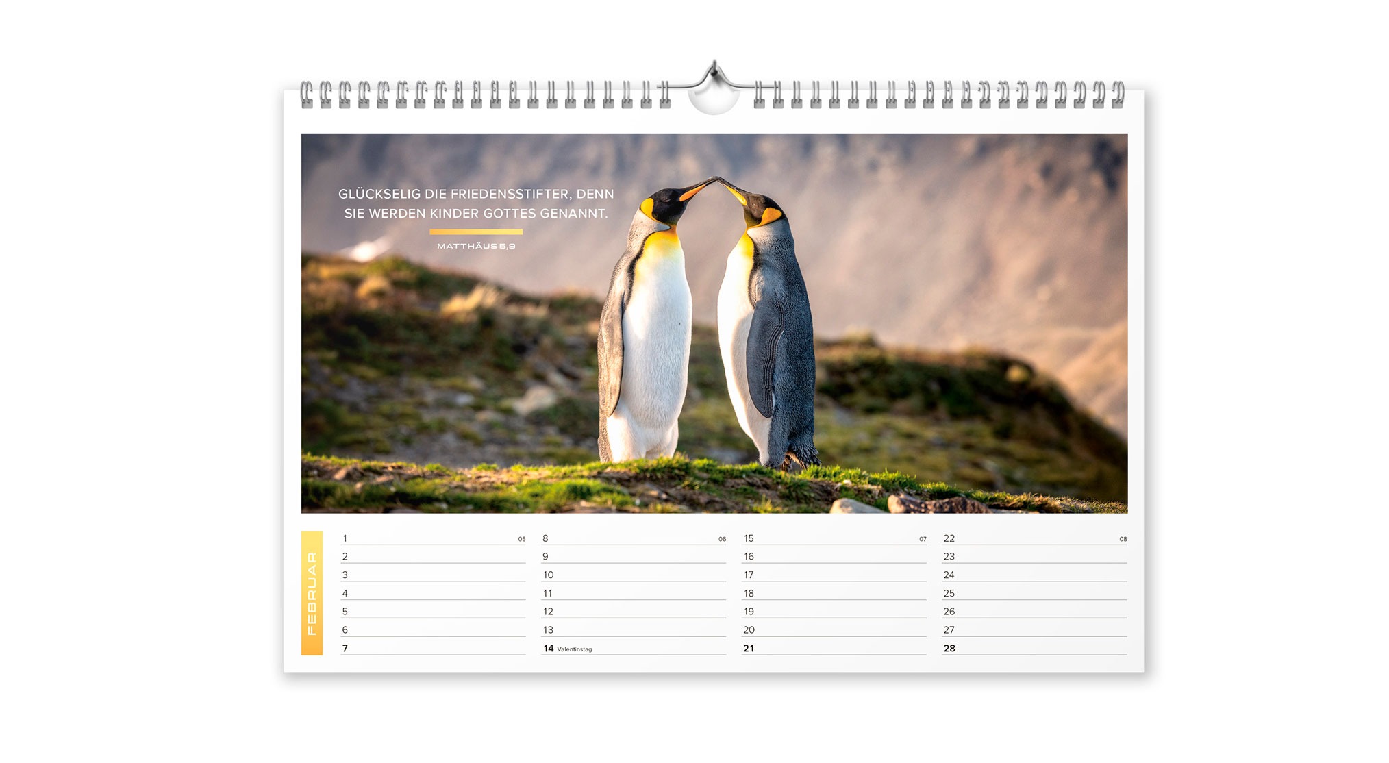 Life is more 2027 - Wandkalender Mittelgroß Life is more 2027 - Wandkalender Mittelgroß