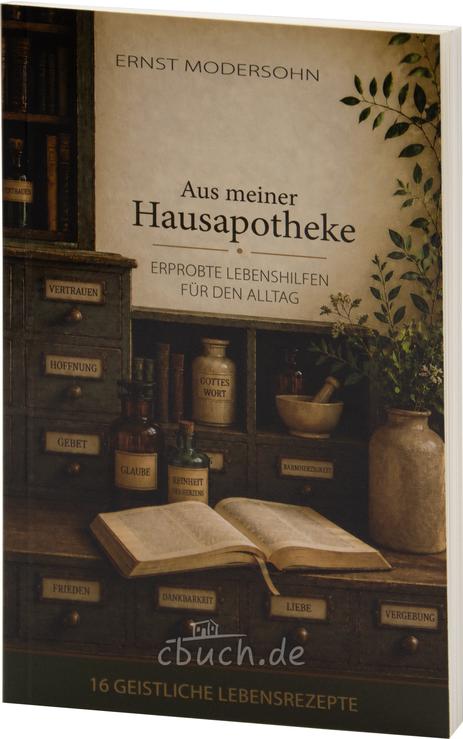 Modersohn: Aus meiner Hausapotheke Modersohn: Aus meiner Hausapotheke