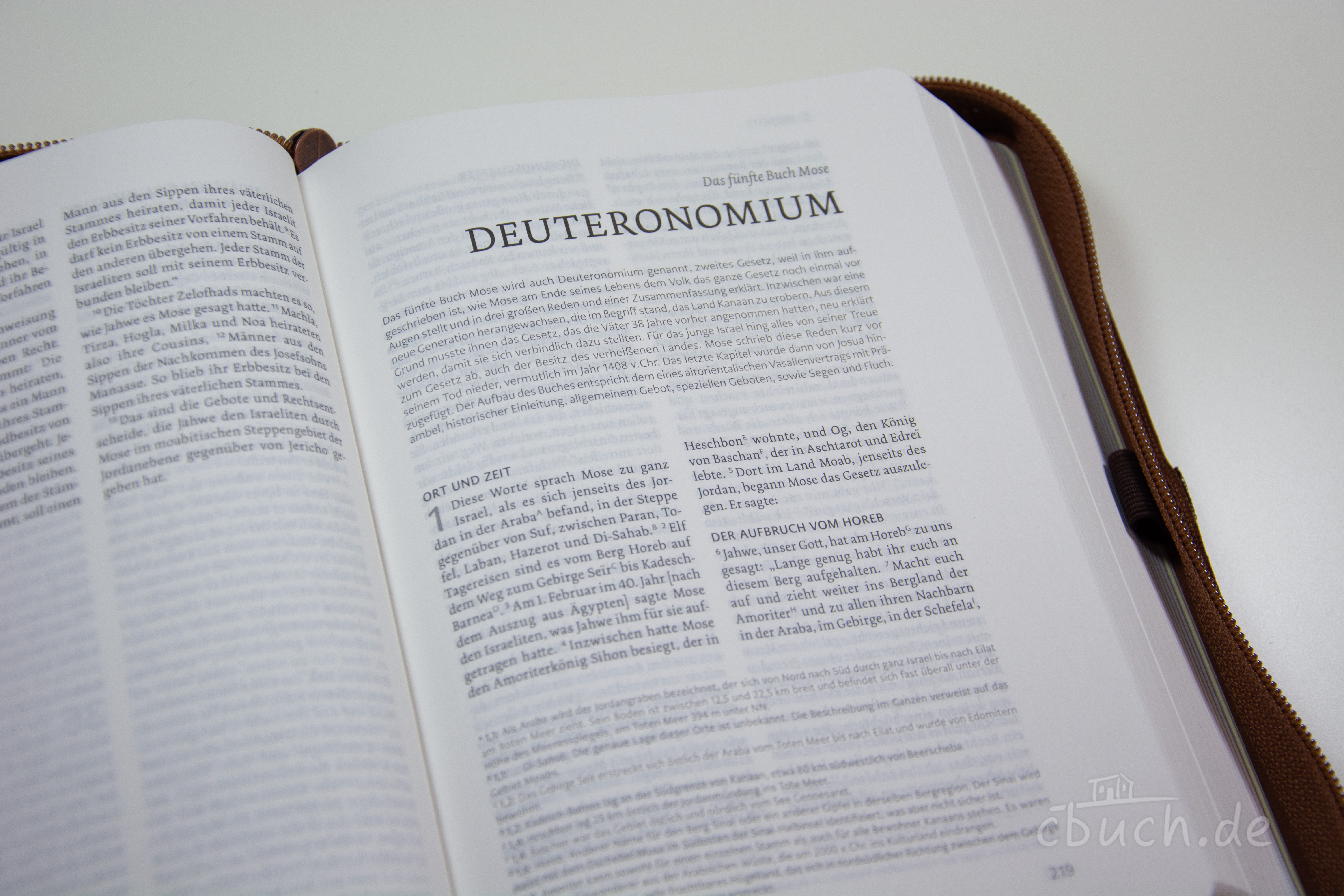 Life Lion Bibel NeÜ bibel.heute - braun Life Lion Bibel NeÜ bibel.heute - braun