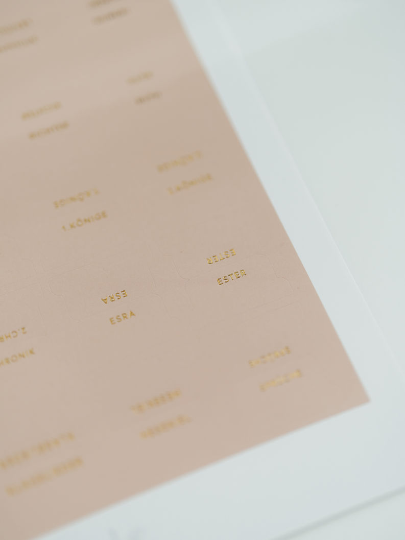 Bibelregister Blush - LIEBEZURBIBEL Bibelregister Blush - LIEBEZURBIBEL