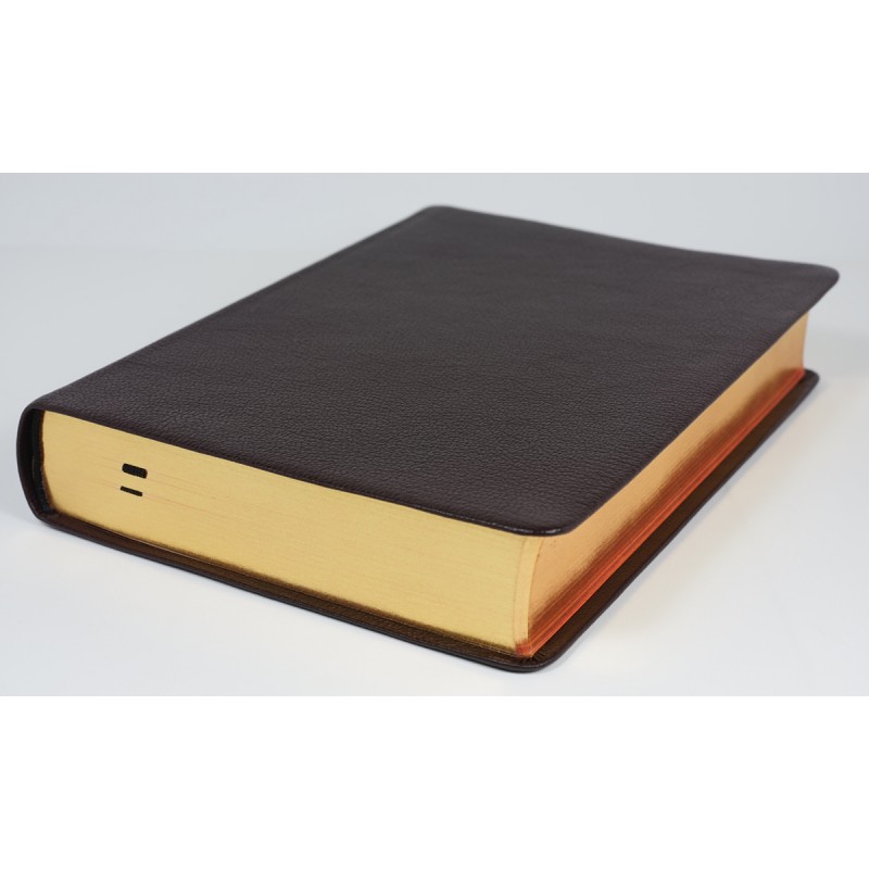 Elberfelder Bibel Edition CSV Schreibrandbibel, kleinere Ausgabe, Rindleder dunkelbraun Elberfelder Bibel Edition CSV Schreibrandbibel, kleinere Ausgabe, weiches Rindleder dunkelbraun mit Rotgoldschnitt