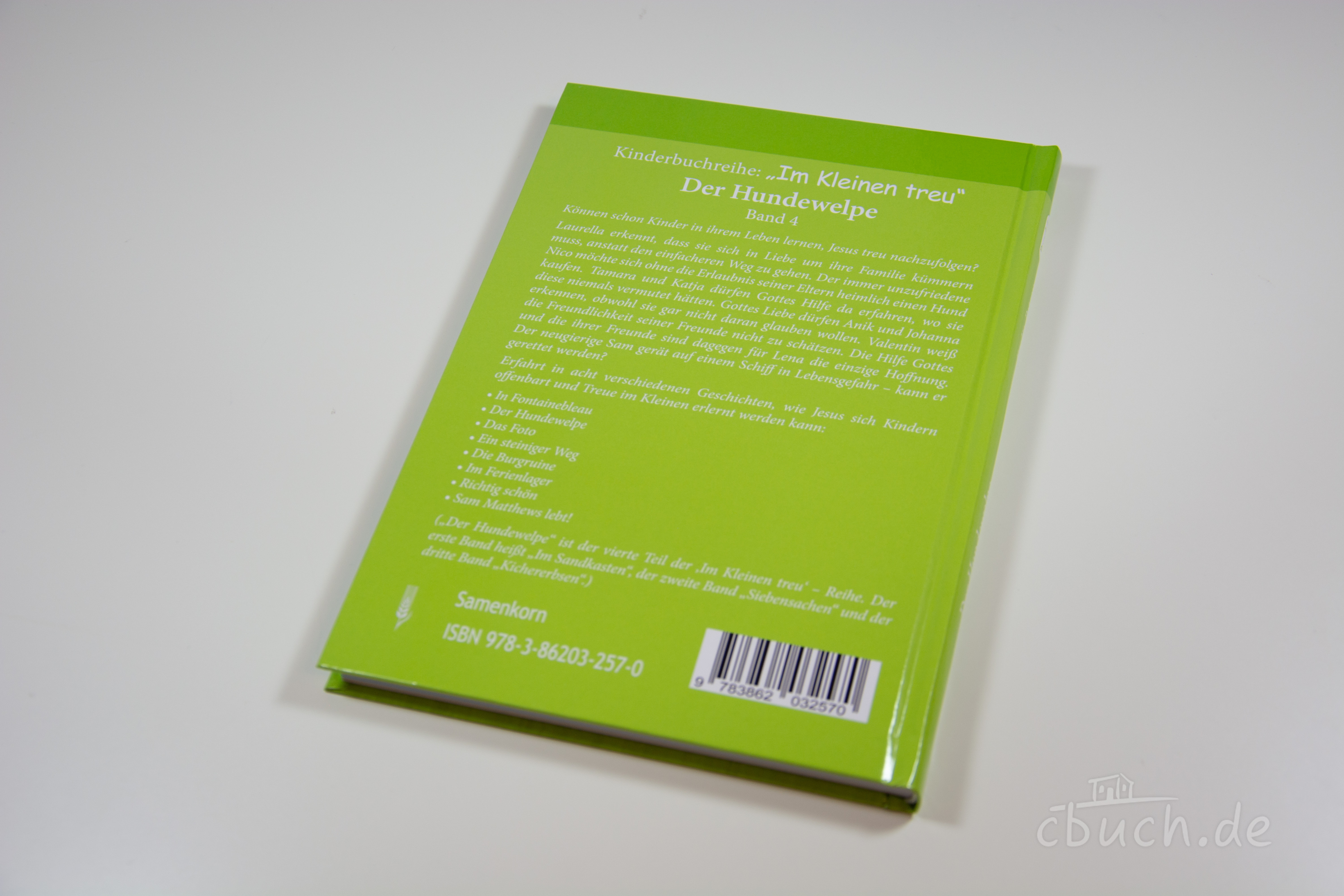 Petrov: Der Hundewelpe (Band 4)