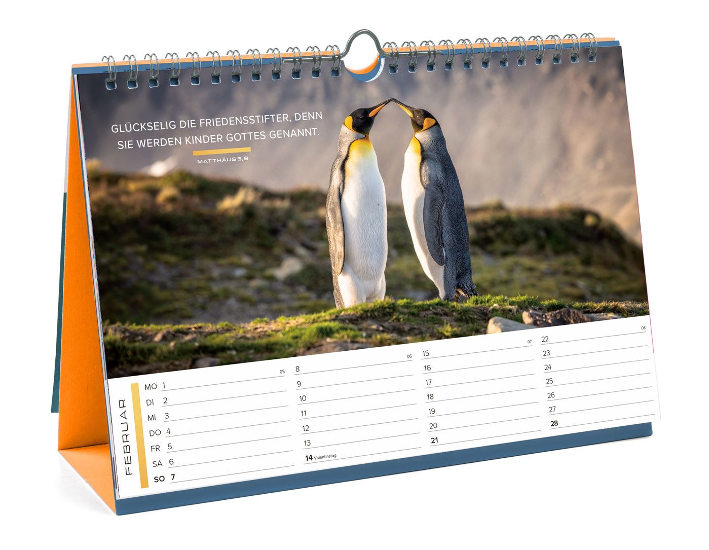 Life is more Panorama-Tischkalender 2027 - Verteilkalender Life is more Panorama-Tischkalender 2027 - Verteilkalender