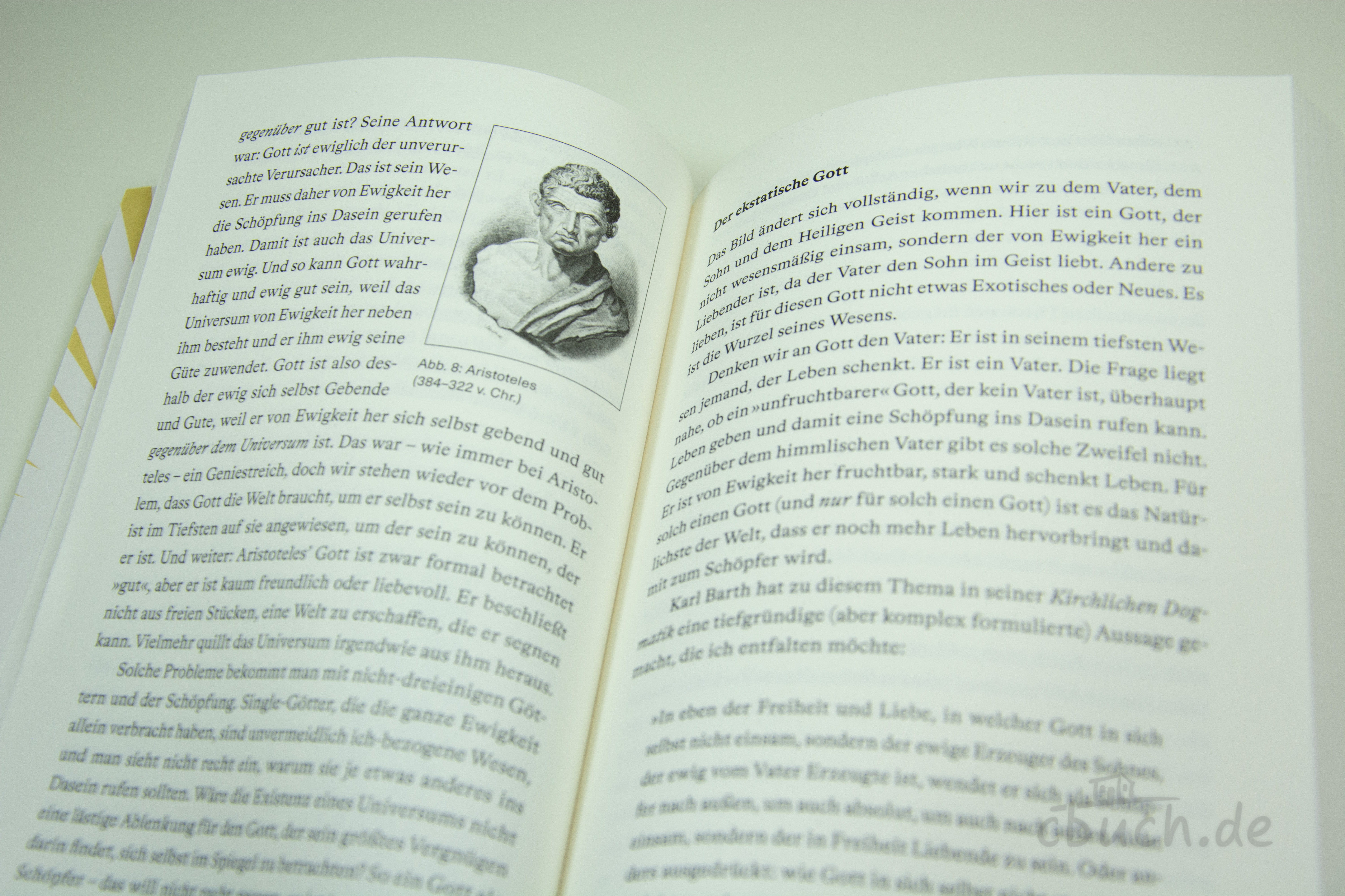Reeves: Fasziniert – aufgeschlagenes Buch über den dreieinigen Gott Aufgeschlagene Buchseiten von „Reeves: Fasziniert – Staunen über den dreieinigen Gott“ von Michael Reeves, Verbum Medien, mit Text zur Trinität und christlichem Leben.