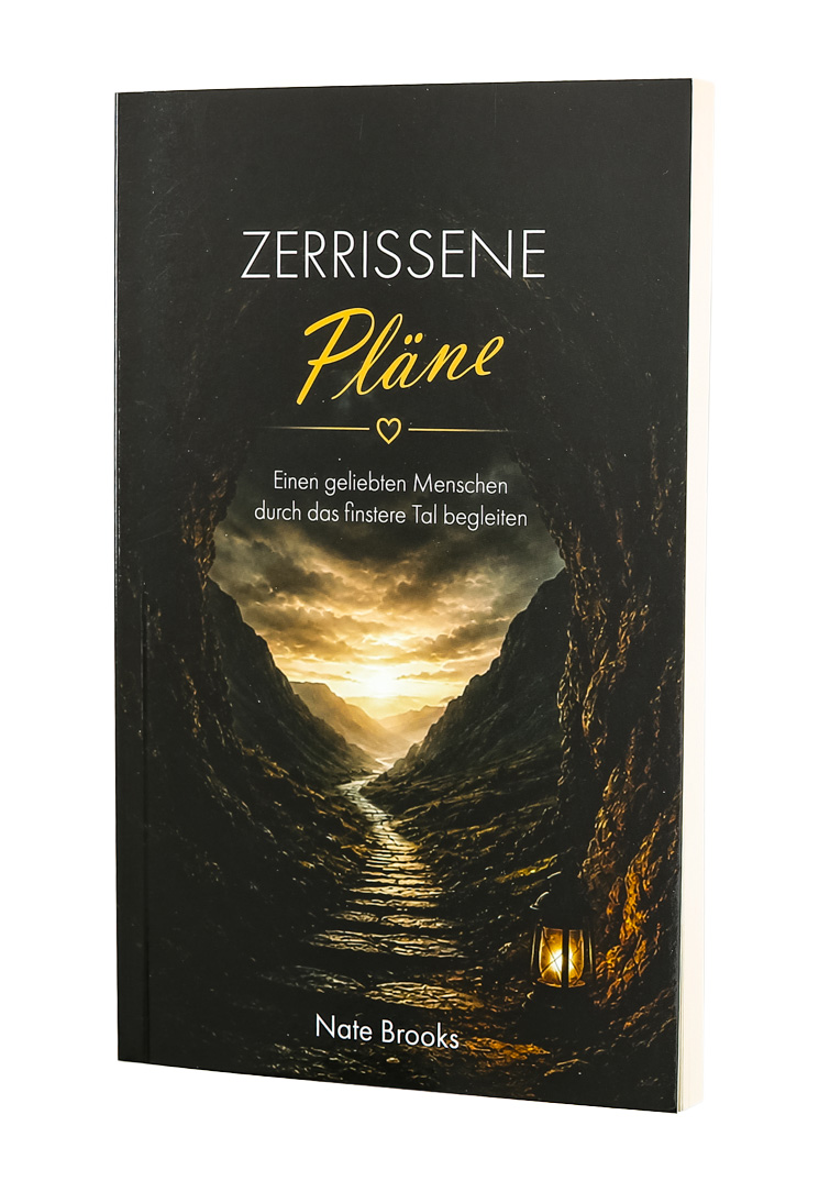 Nate Brooks: Zerrissene Pläne Nate Brooks: Zerrissene Pläne