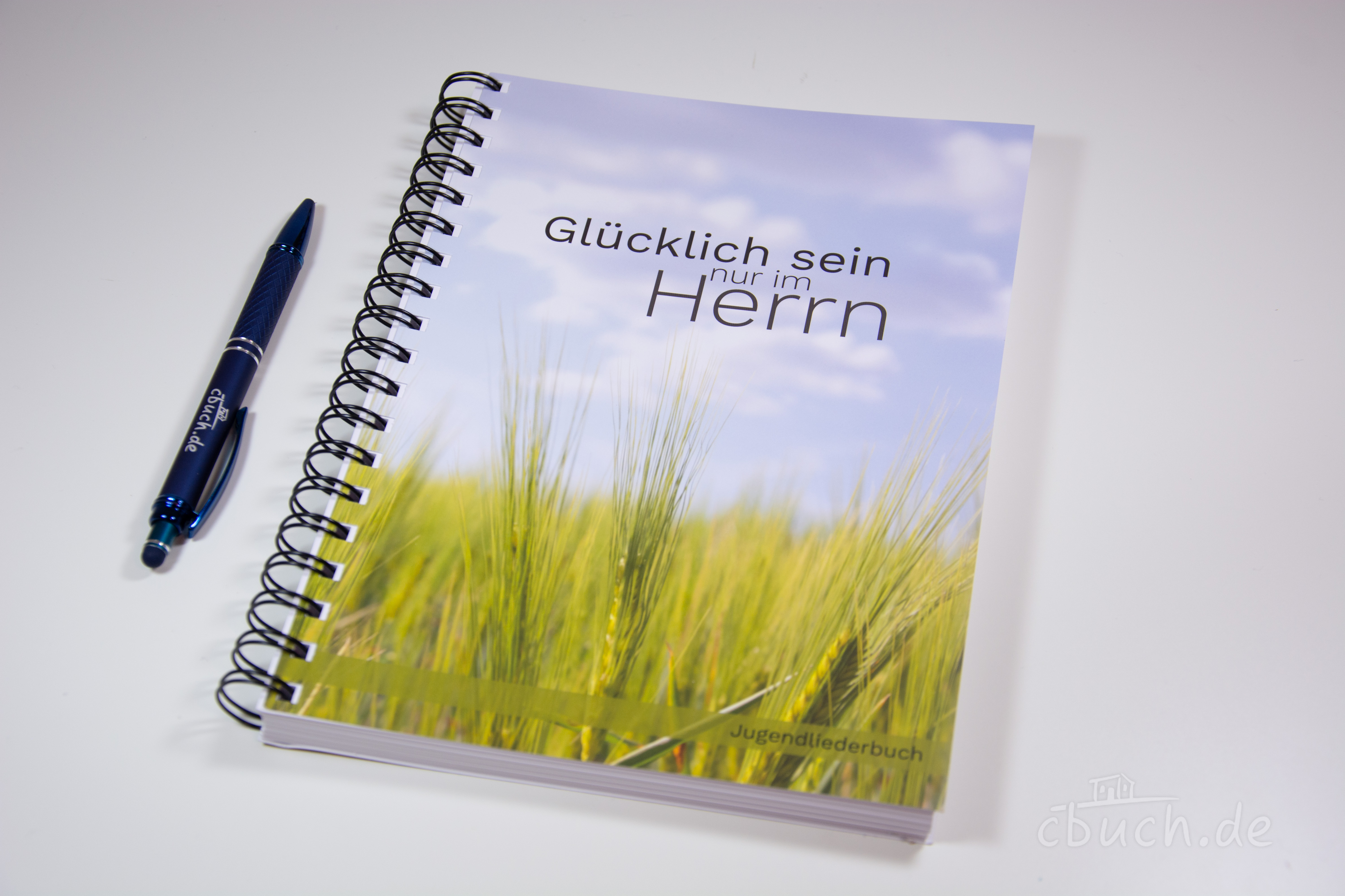 Glücklich sein nur im Herrn - Jugendliederbuch (Ringbuch)