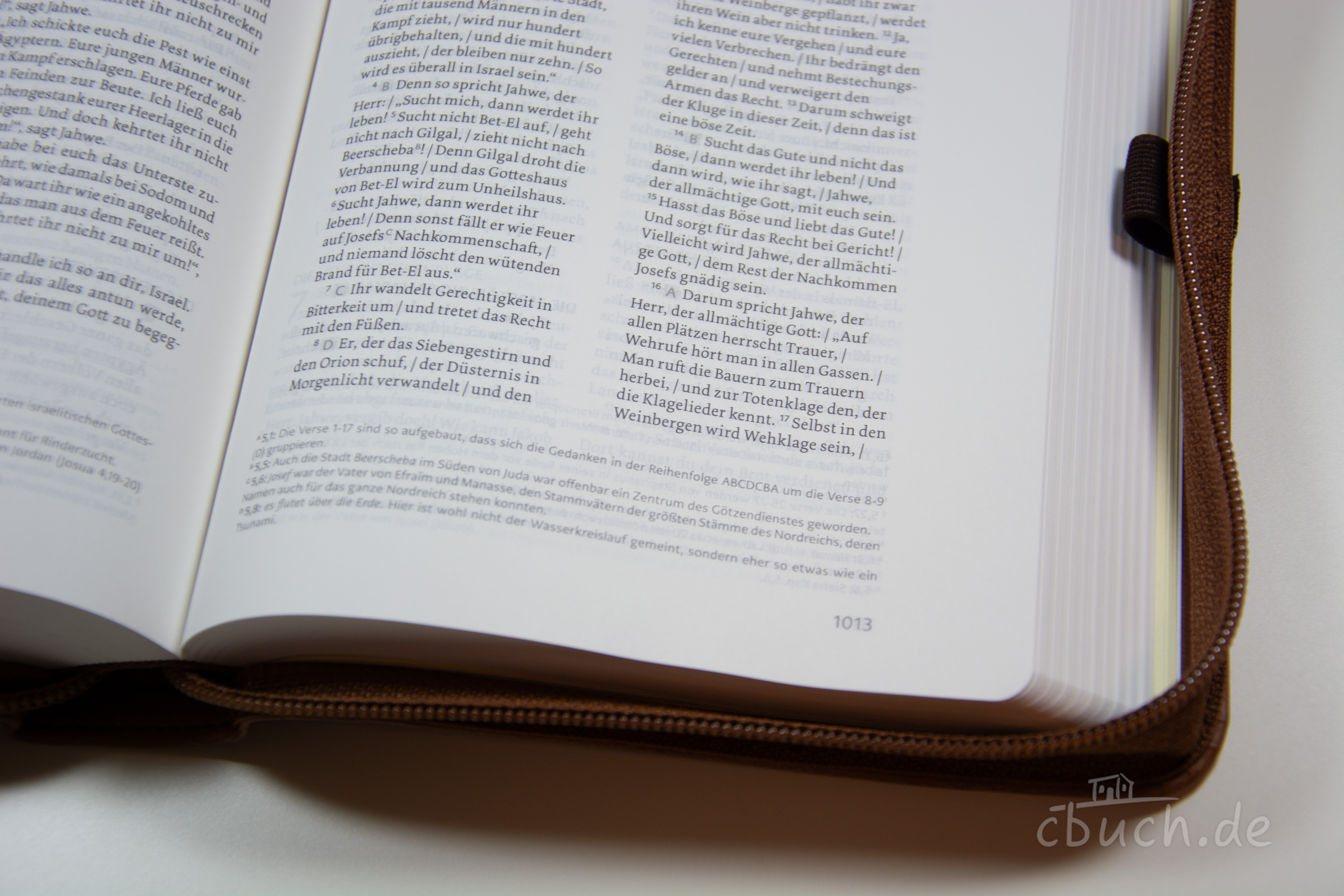 Life Lion Bibel NeÜ bibel.heute - braun