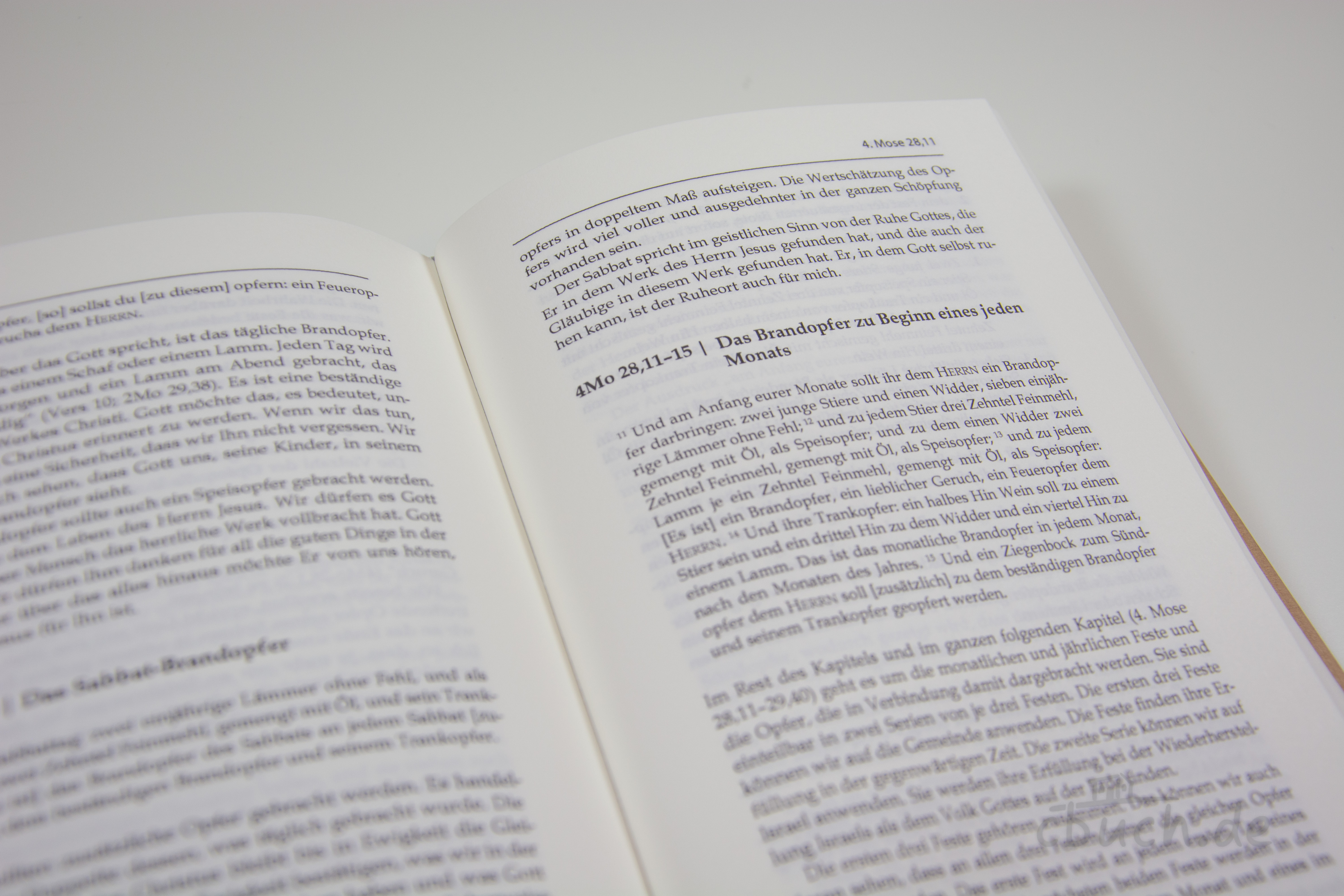 de Koning: Das 4. Buch Mose de Koning: Das 4. Buch Mose