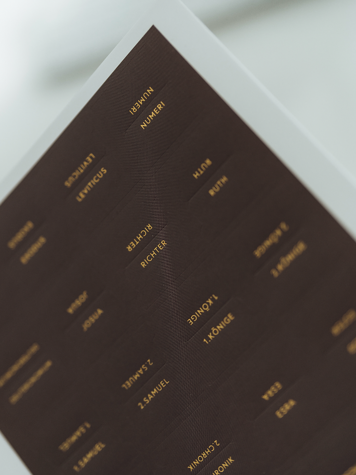 Bibelregister mocca - LIEBEZURBIBEL