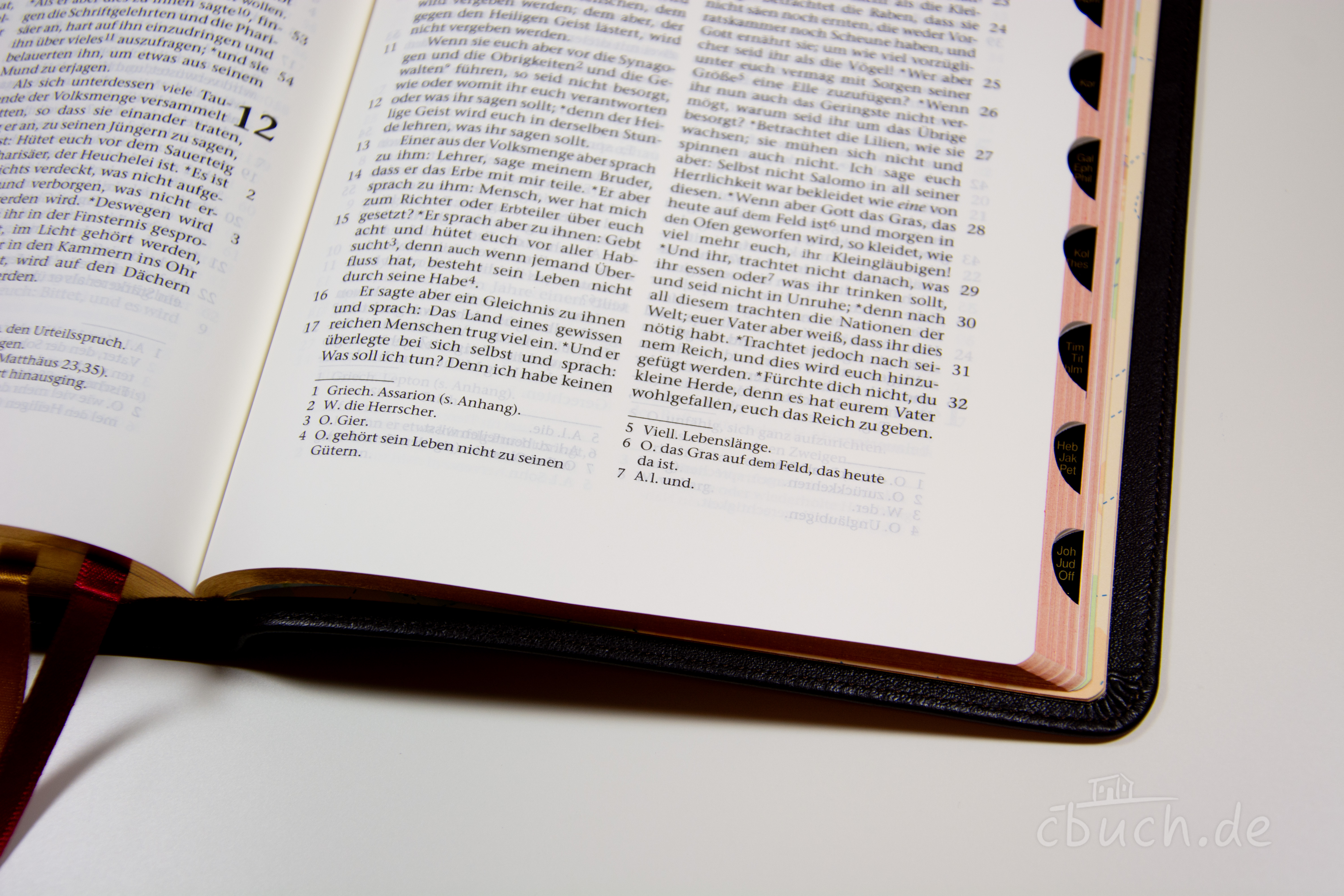 Elberfelder Bibel Edition CSV - Standardbibel, Rindleder, dunkelbraun, Rotgoldschnitt mit Griffregister