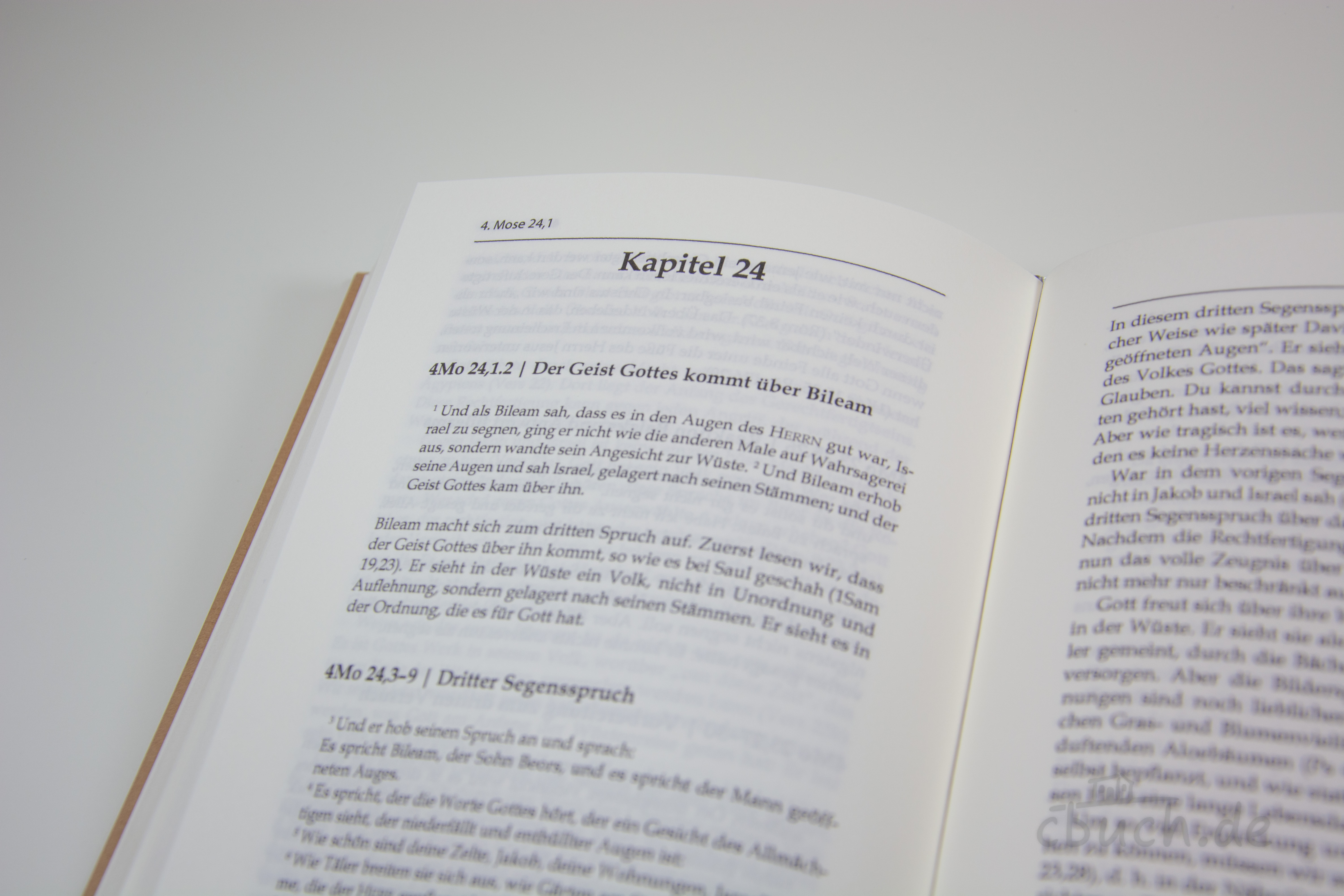 de Koning: Das 4. Buch Mose de Koning: Das 4. Buch Mose