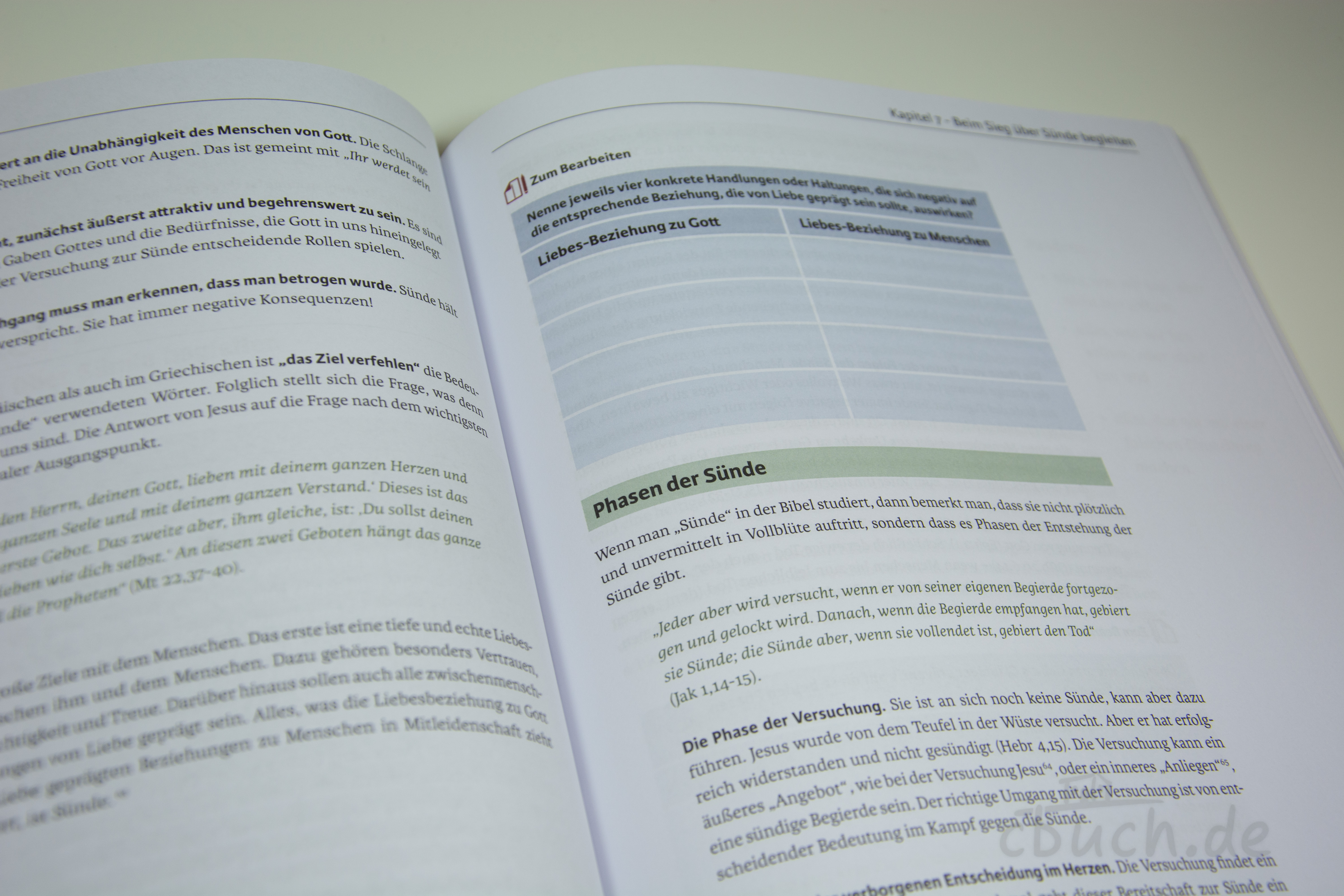 Geöffnete Buchseiten mit Text über Phasen der Sünde und Tabe