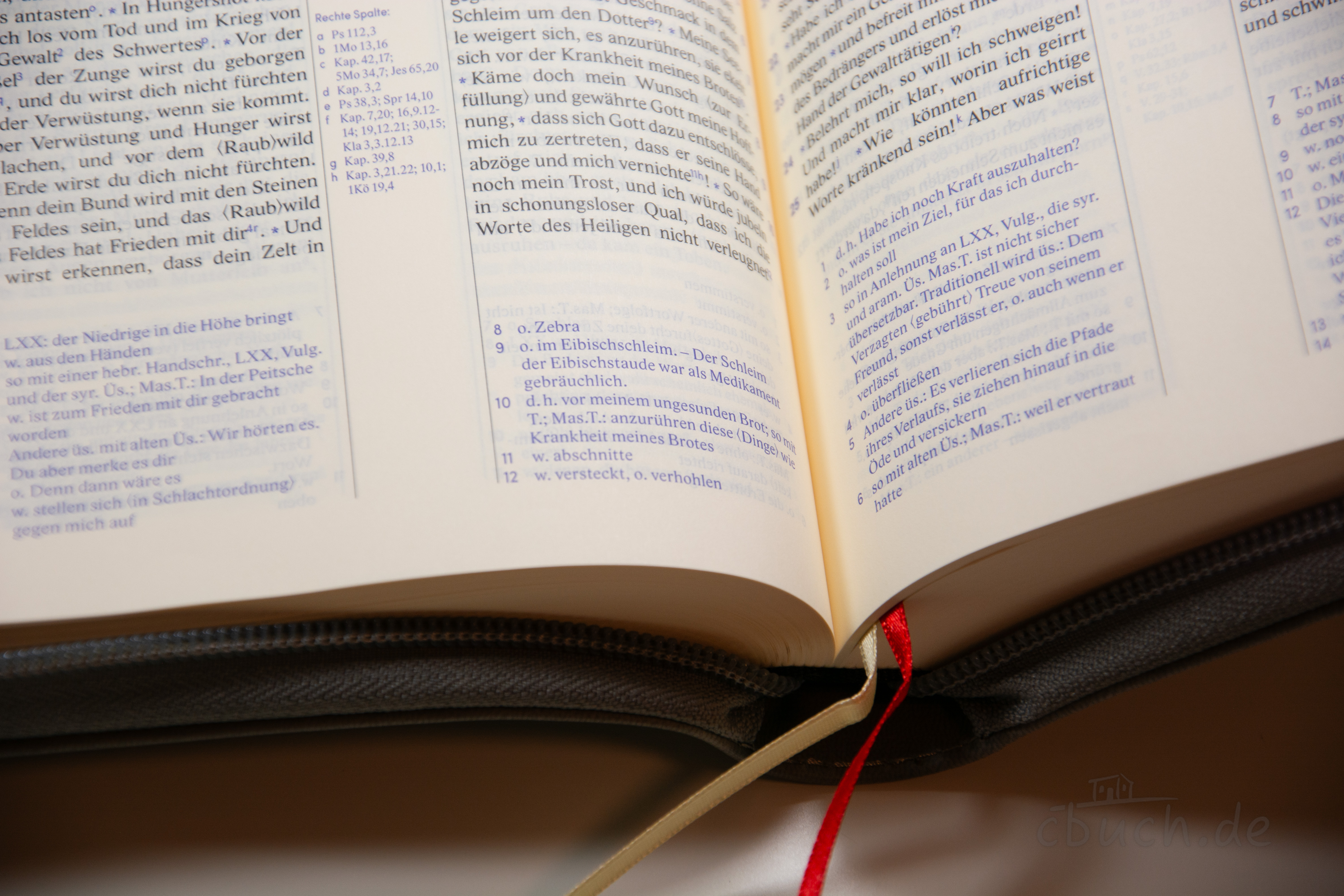 Revidierte Elberfelder Bibel - Standardausgabe, Kunstleder mit Reißverschluss