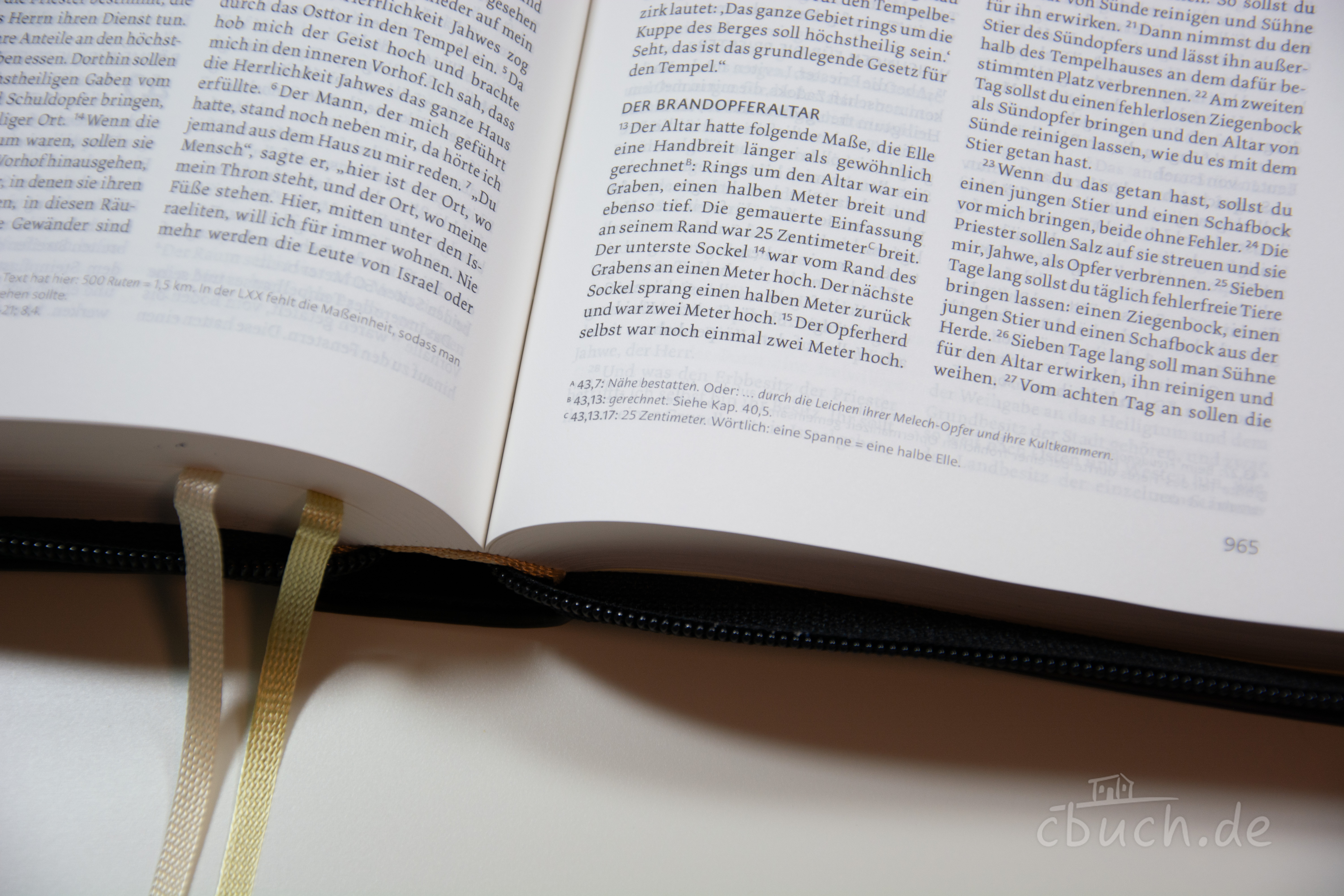 Life Lion Bibel NeÜ bibel.heute - schwarz