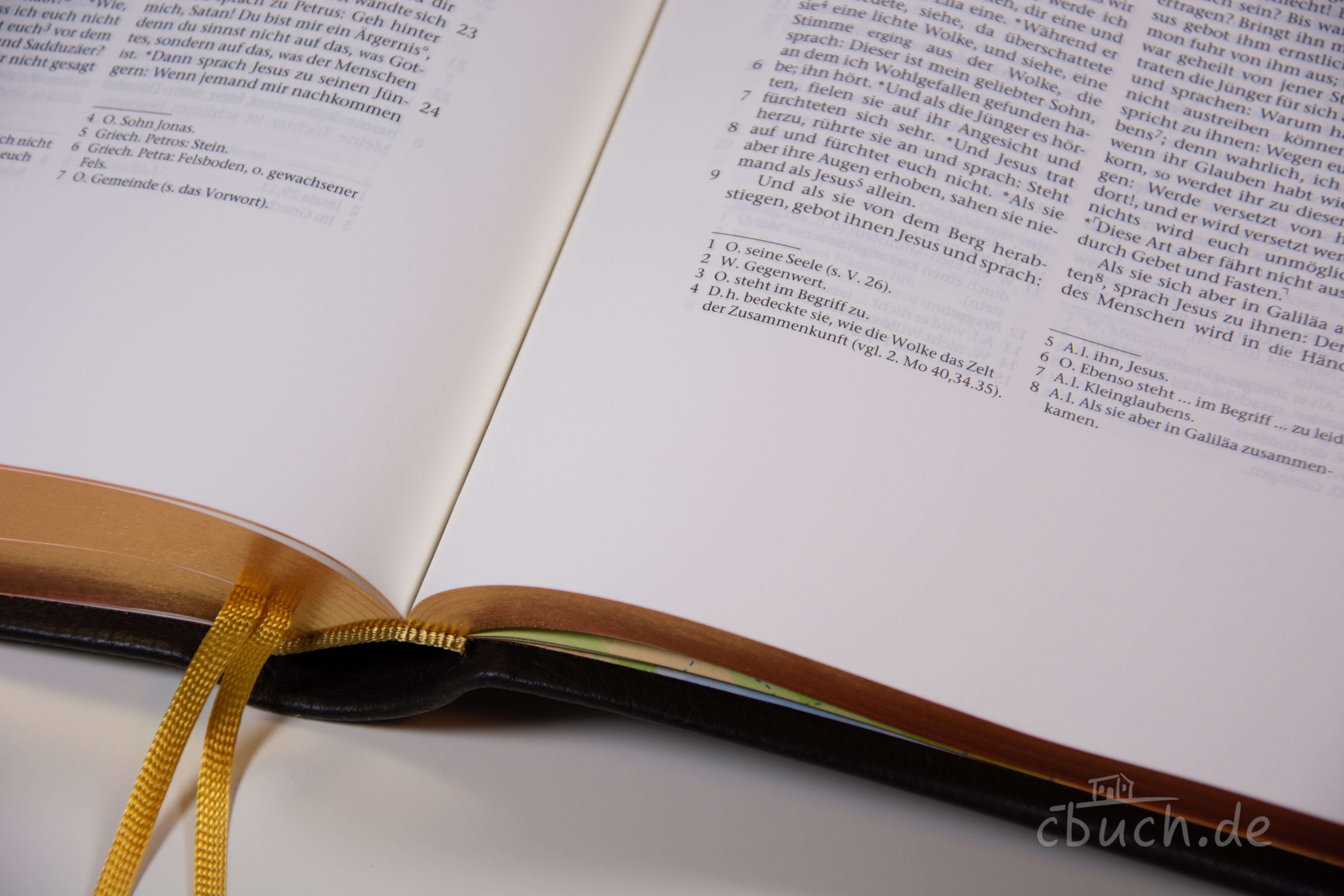 Elberfelder Bibel Edition CSV - Schreibrandbibel, größere Ausgabe, Rindleder (weich) dunkelbraun, Rotgoldschnitt Elberfelder Bibel Edition CSV - Schreibrandbibel, größere Ausgabe, Rindleder (weich) dunkelbraun, Rotgoldschnitt