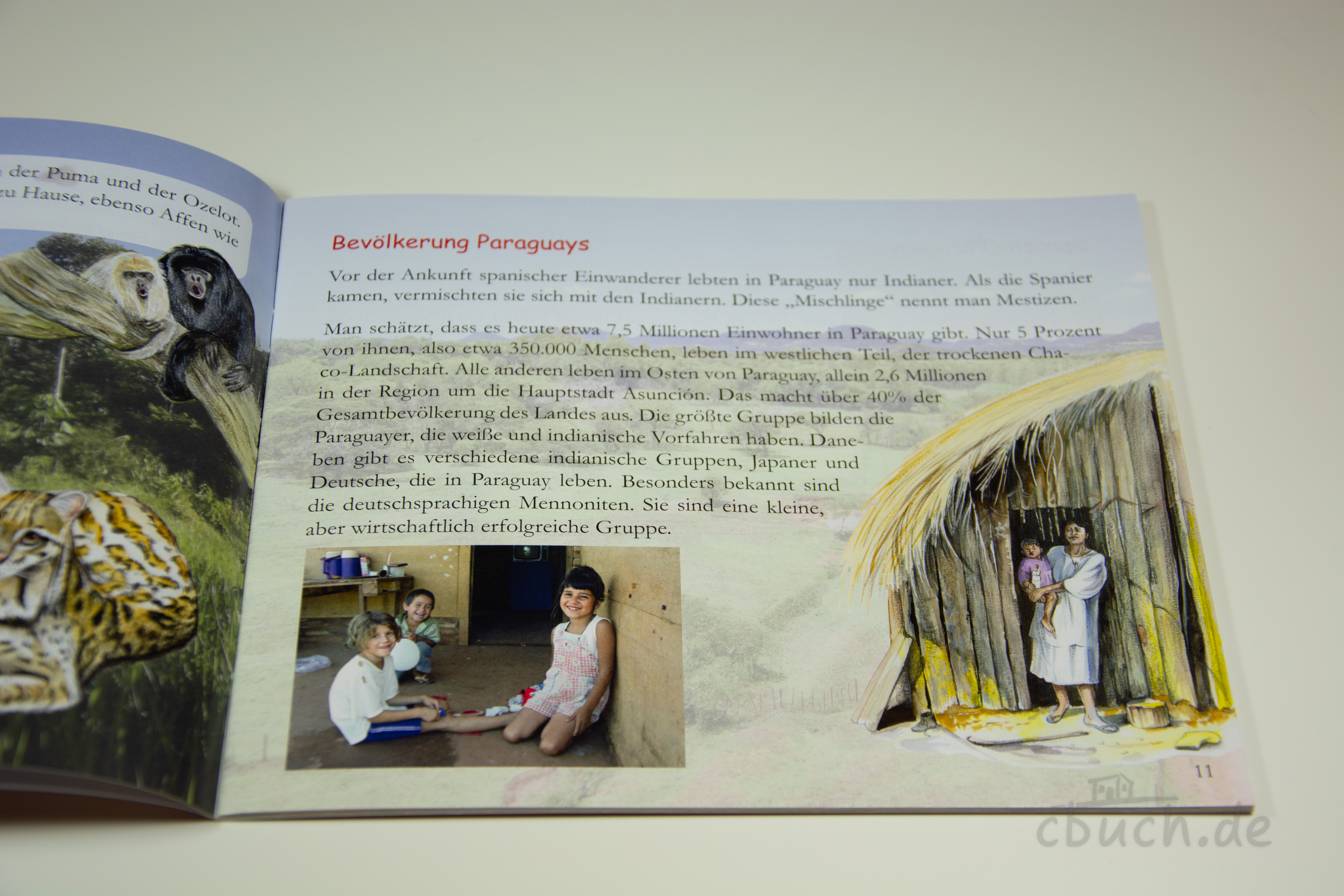 Innenseite aus „Der fleißige Junge - Kinder in Paraguay (Heft 11)“ von Samenkorn mit Text über Paraguay, Kinderfoto und Illustration einer Hütte in Asunción.