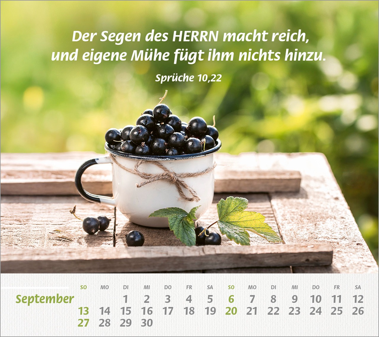 Weißer Becher mit schwarzen Johannisbeeren auf Holz mit Bibe