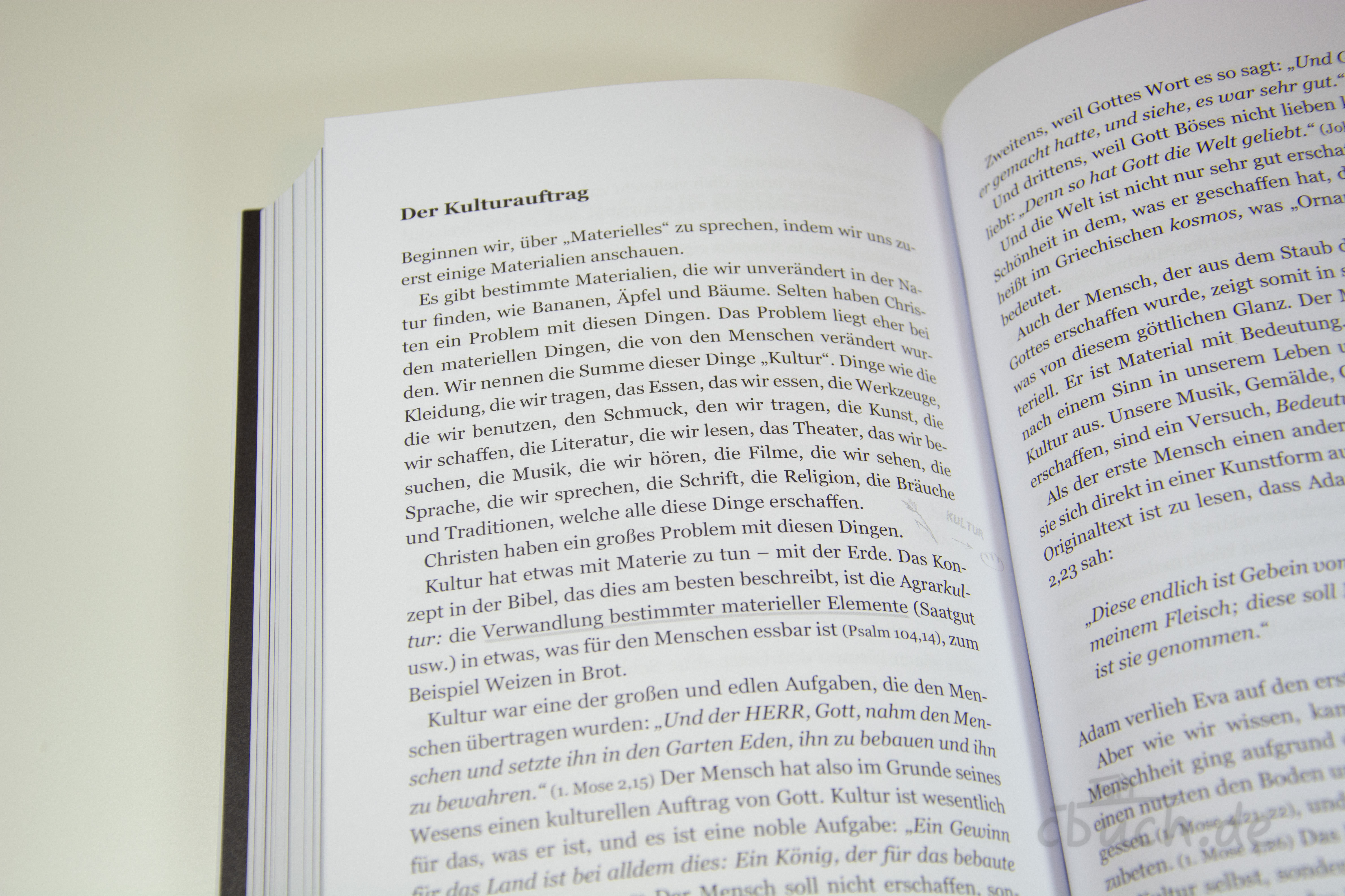 Nathanael Bubenzer: Überrascht von Liebe – Buch Innenansicht Innenansicht des Buches "Nathanael Bubenzer: Überrascht von Liebe" von CV mit aufgeschlagenen Seiten und Kapiteltext; christliches Buch über Gottes Liebe, biblische Wahrheit und praktische Schritte.