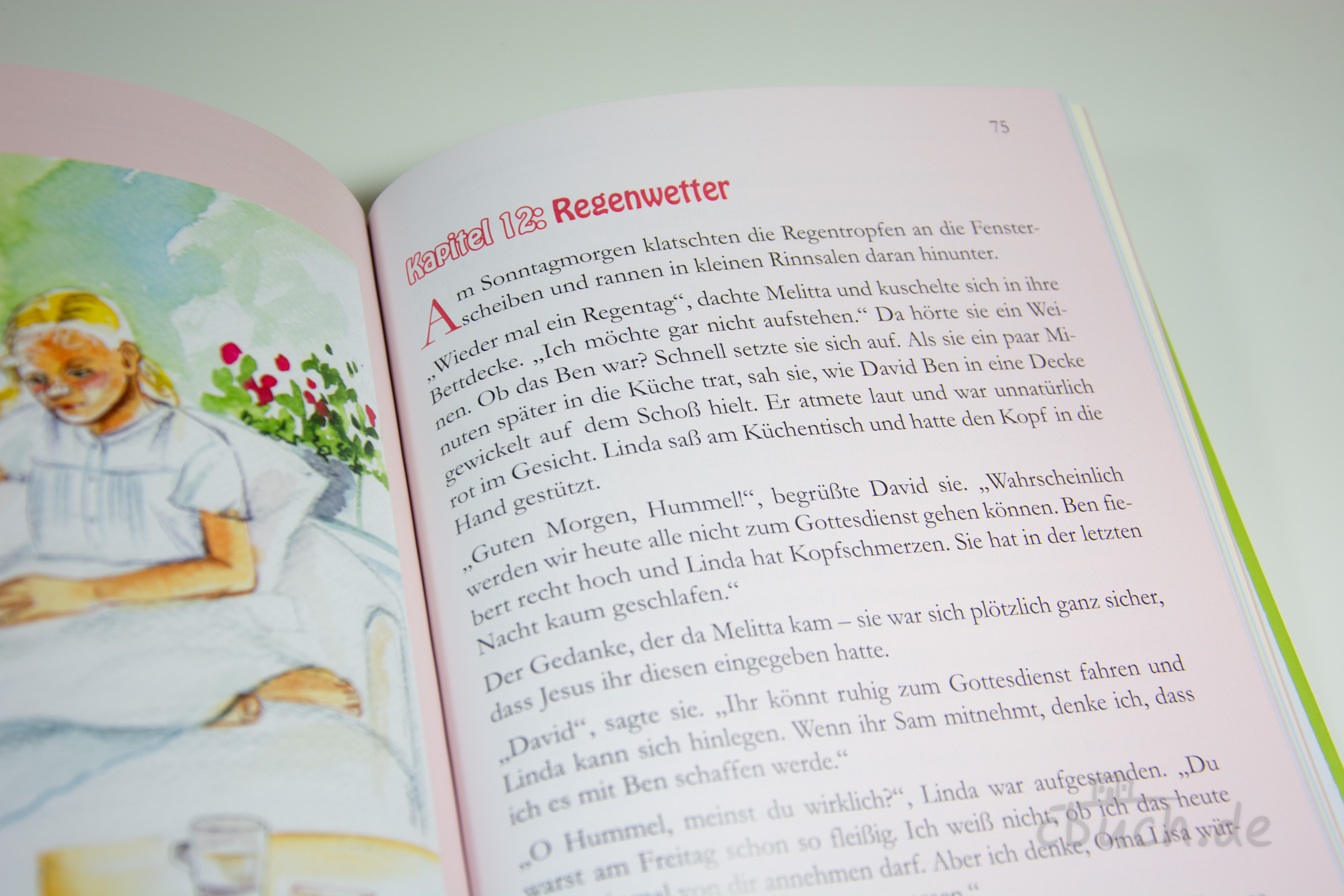 Andres: Melitta – die Hummel auf der Blumeninsel, Kinderbuch von Samenkorn Geöffnetes Buch Andres: Melitta – die Hummel auf der Blumeninsel von Samenkorn, Kinderbuch ab 8 Jahren über Glauben, Mut und Abenteuer am Bodensee
