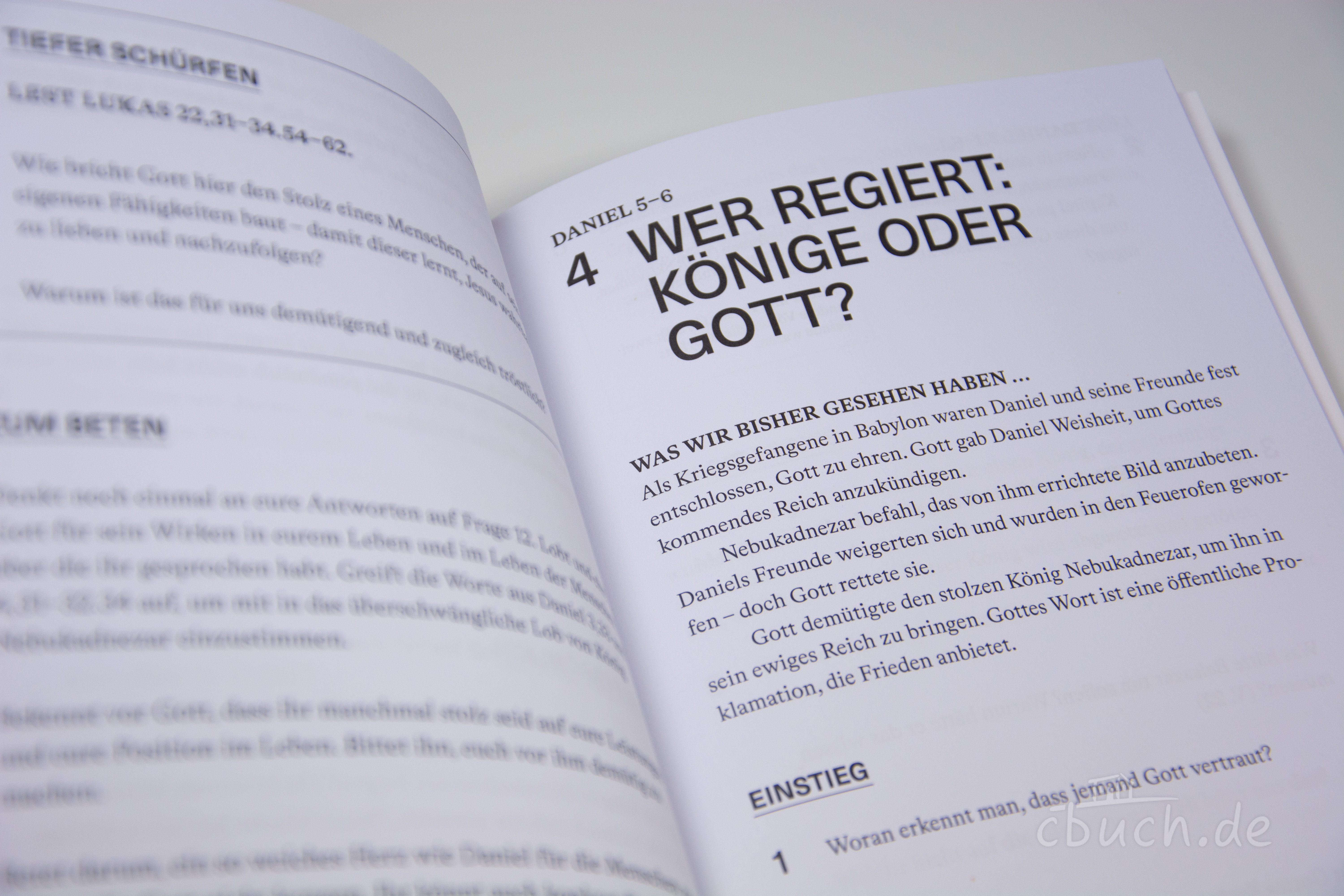 Helm: Daniel | Arbeitsheft (Die Bibel erklärt)