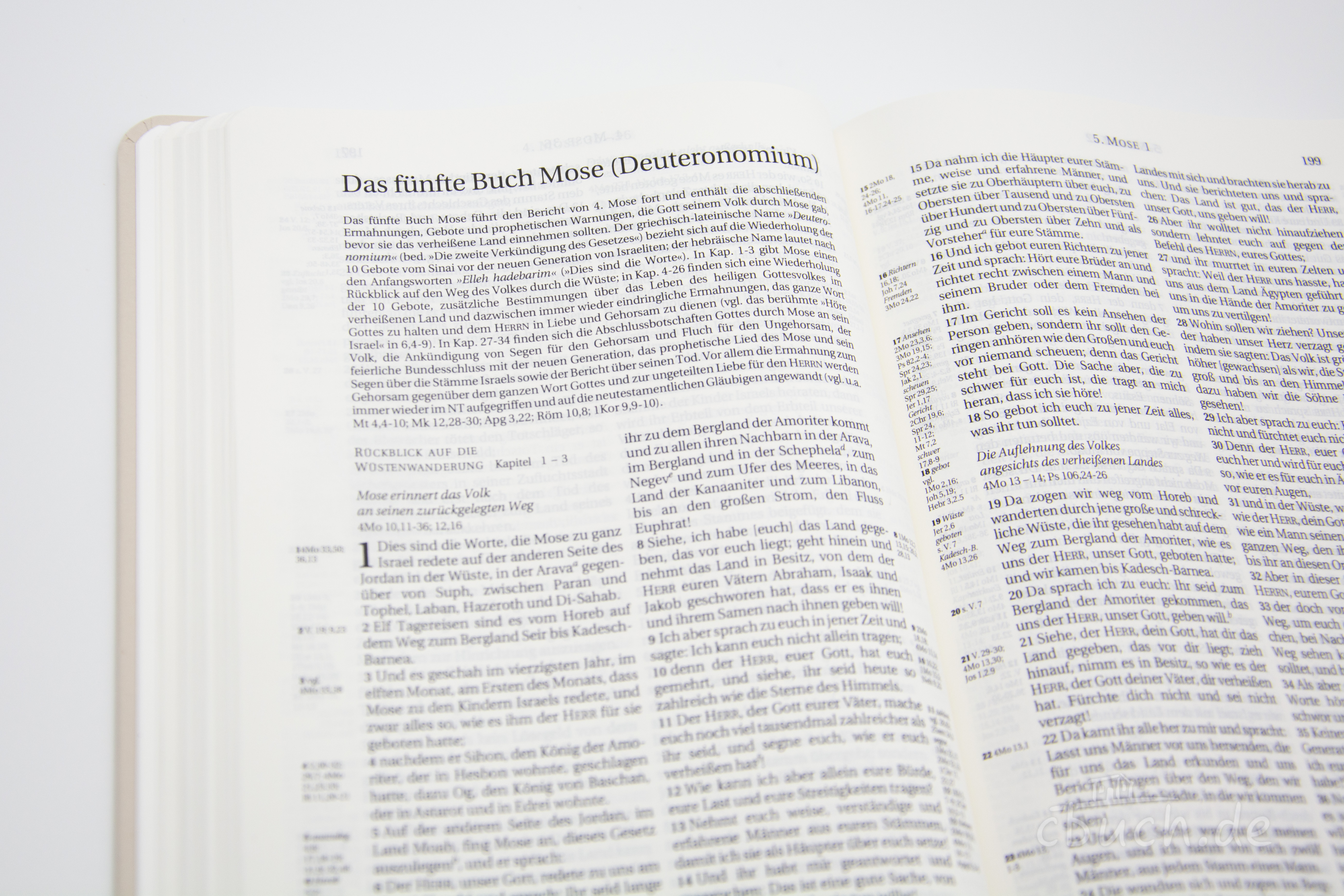 Schlachter 2000 Bibel - Taschenausgabe (Hardcover, farbiger Einband »Floral«)