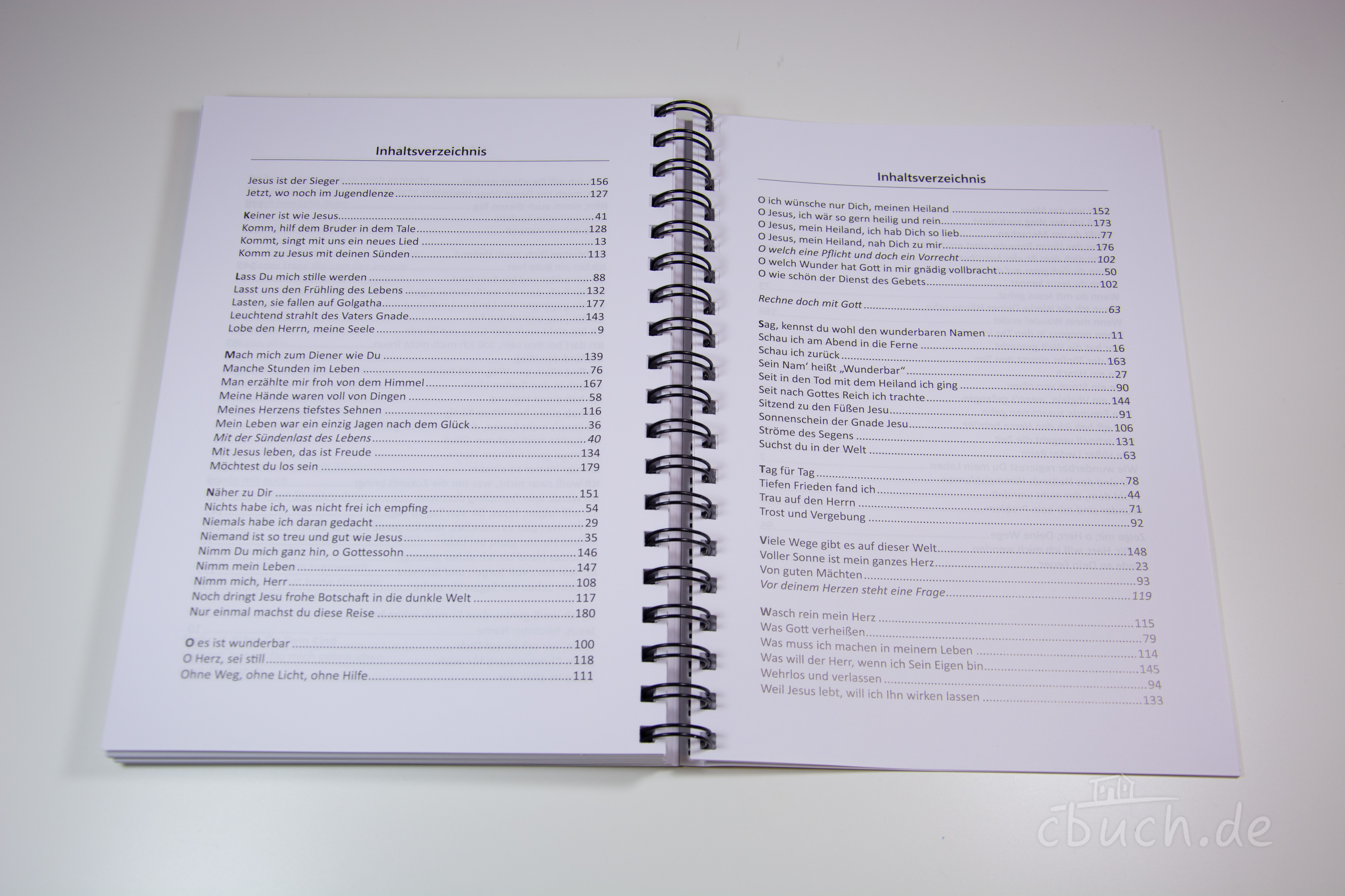 Glücklich sein nur im Herrn - Jugendliederbuch (Ringbuch)