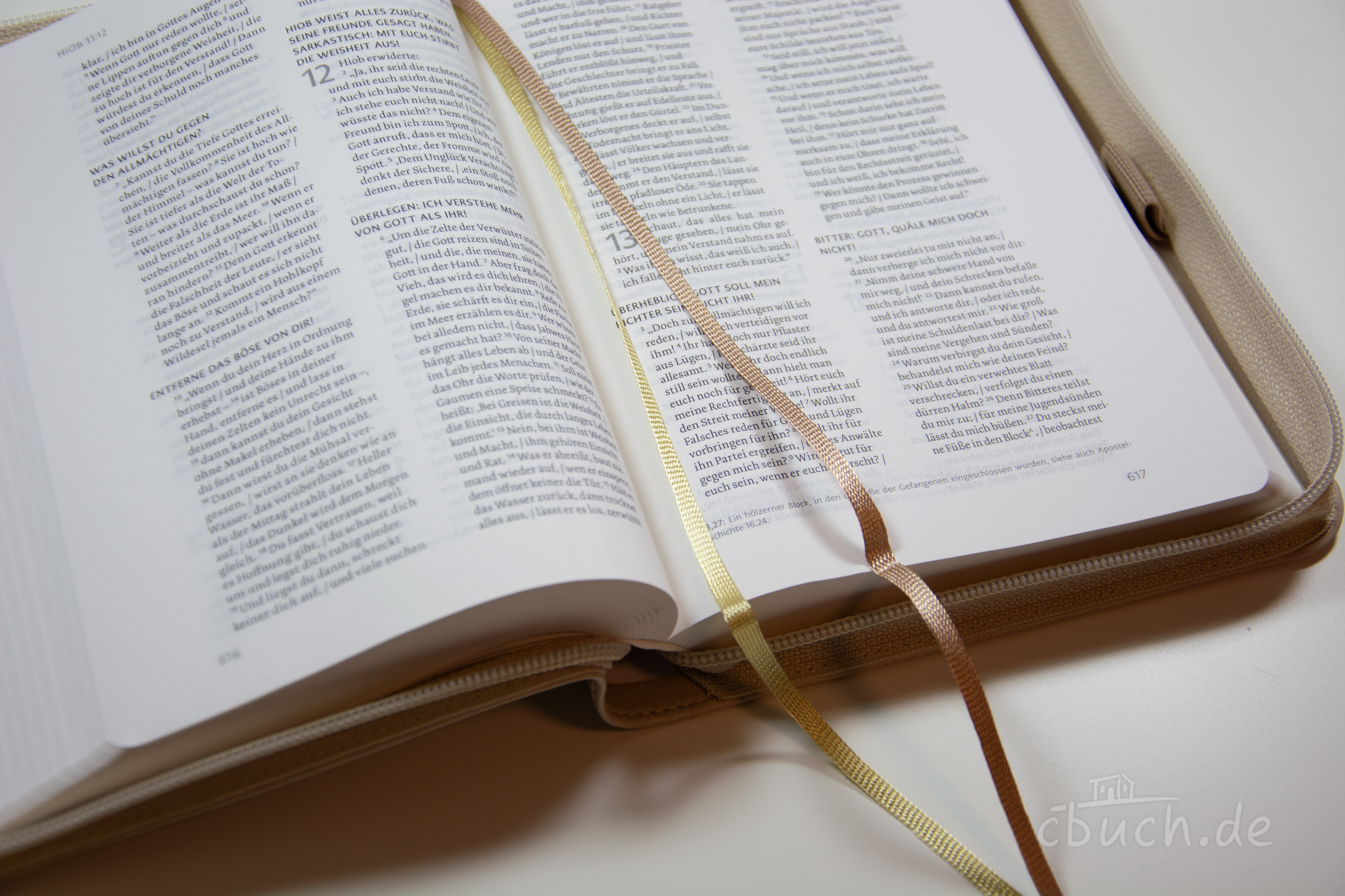 Life Lion Bibel NeÜ bibel.heute - beige