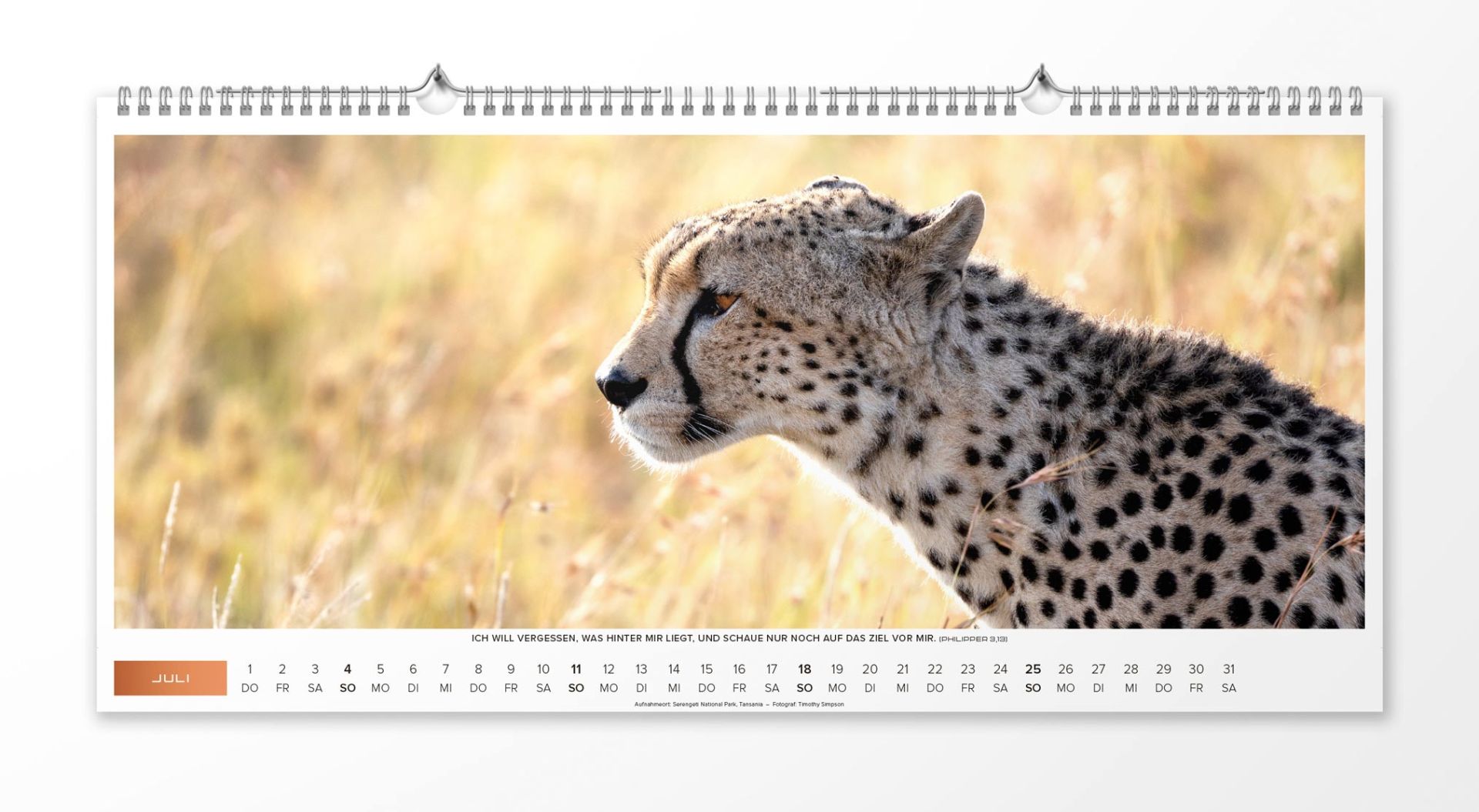 Life is more 2027 - Wandkalender XL